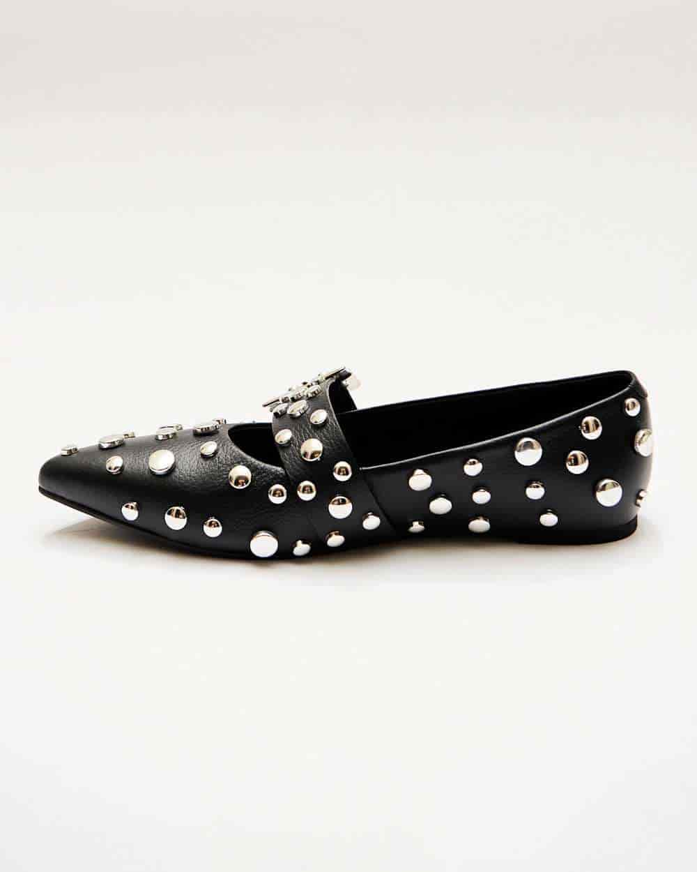 POINTER FLATS BLACK - miniatura 2