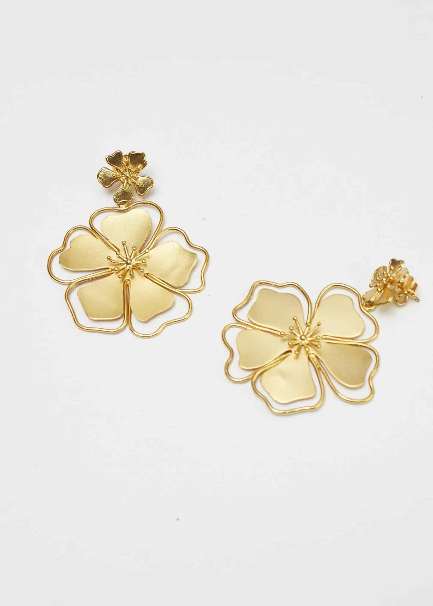 Aretes Andreae - miniatura 2