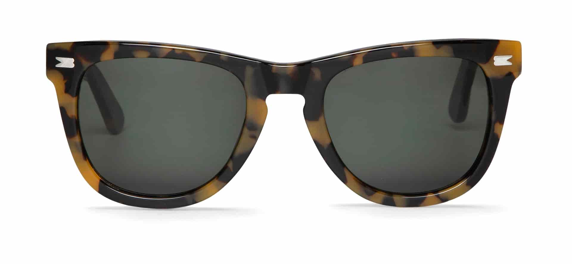 HC TORTOISE ALAMEDA WITH CLASSICAL LENSES - miniatura 1