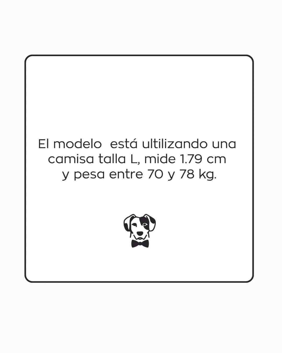 Camisa Antimanchas Oxford Gris - Talla Regular - miniatura 7