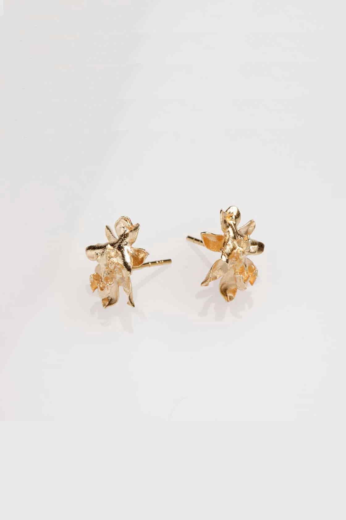 SIGMATOXTALIS ORCHIDS - miniatura 1