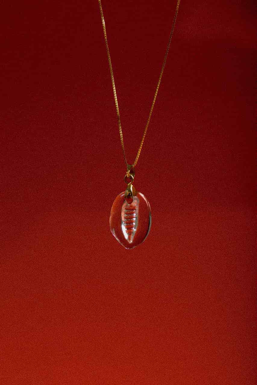COWRIE'S SOLITARY - miniatura 2