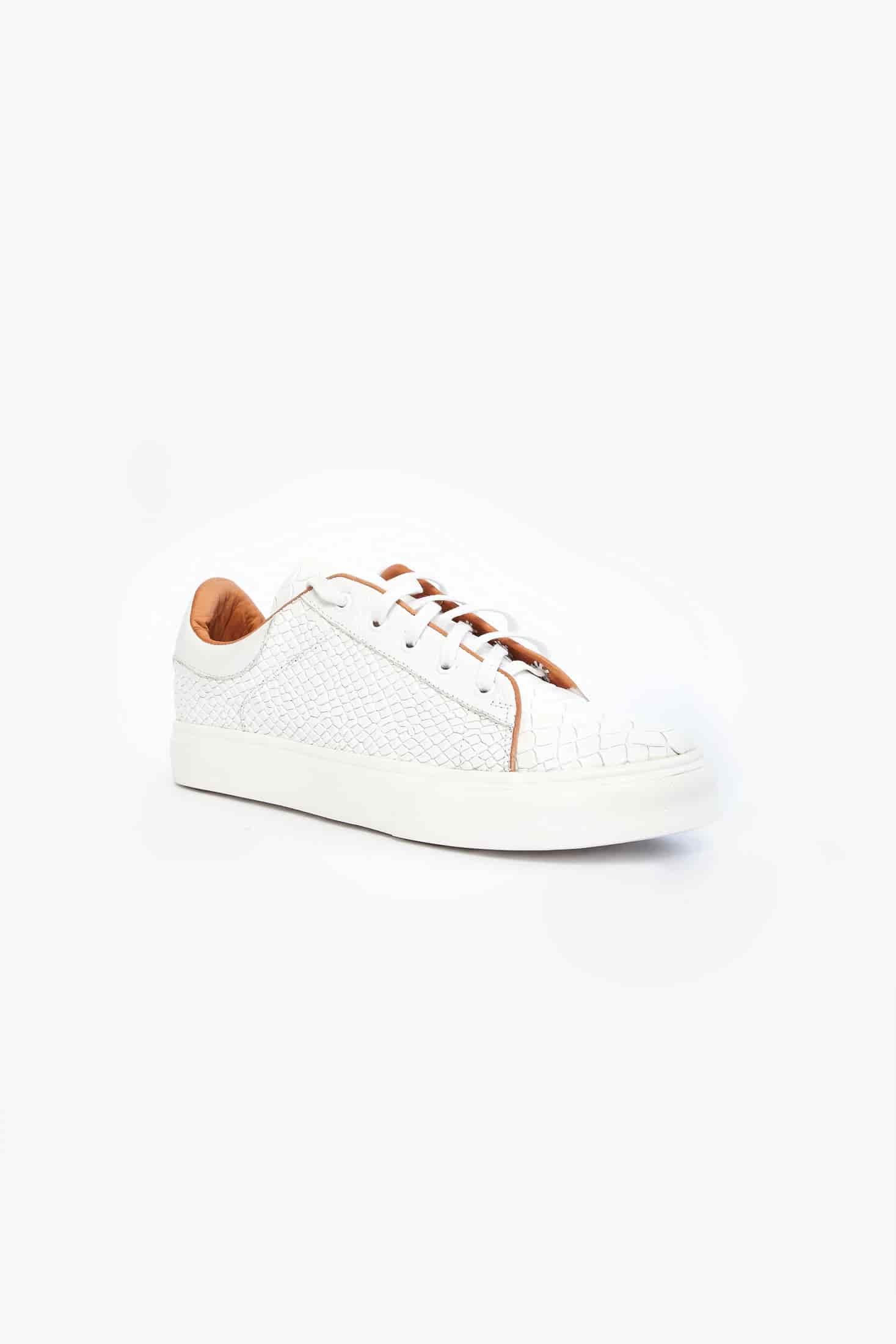 CROCODILE BLANCO - miniatura 2