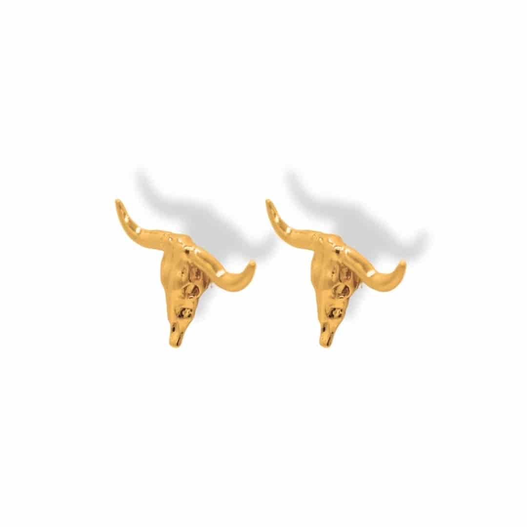 Aretes de cráneo bovino - miniatura 1