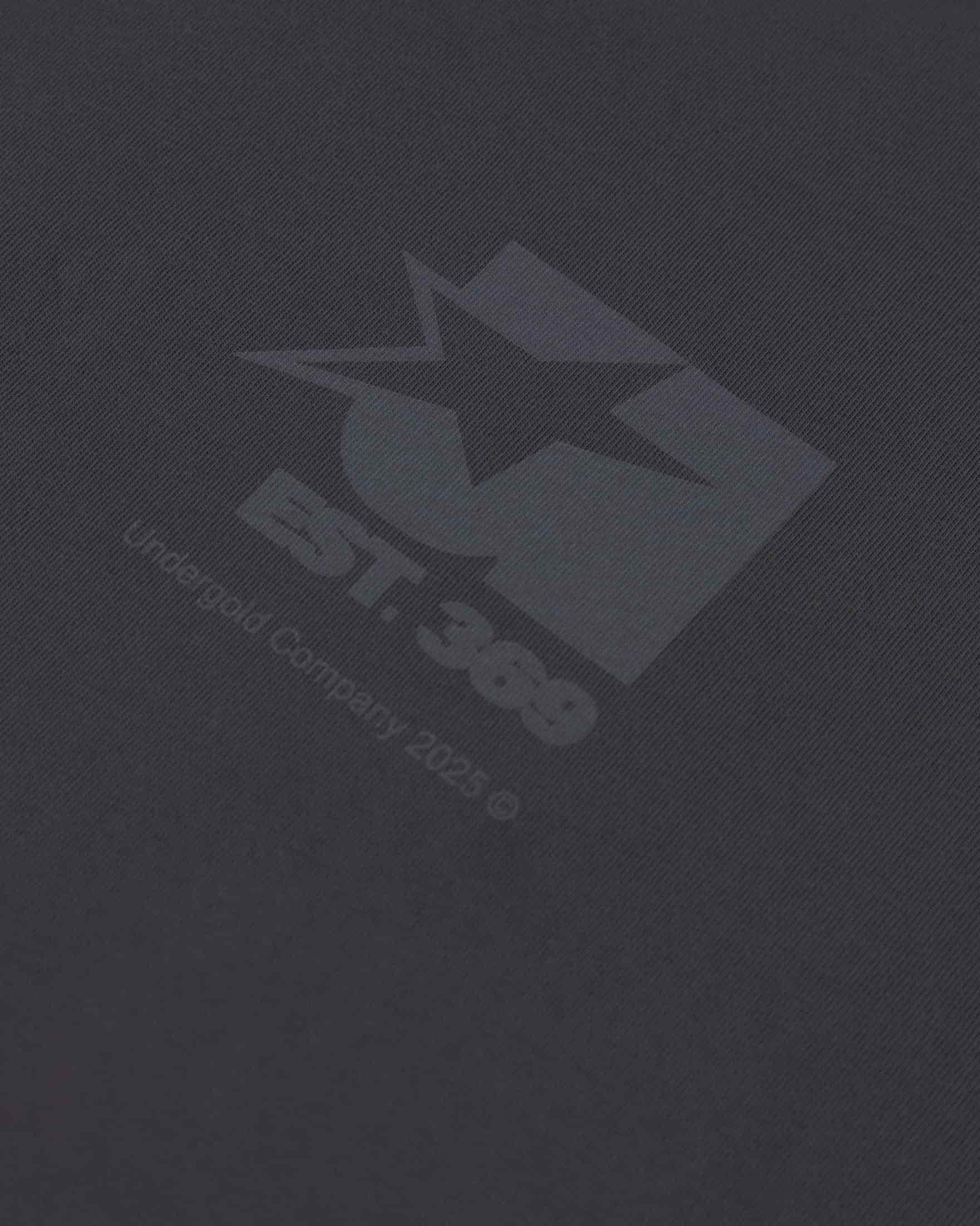 Stardust Symbol Tshirt Gray - miniatura 4
