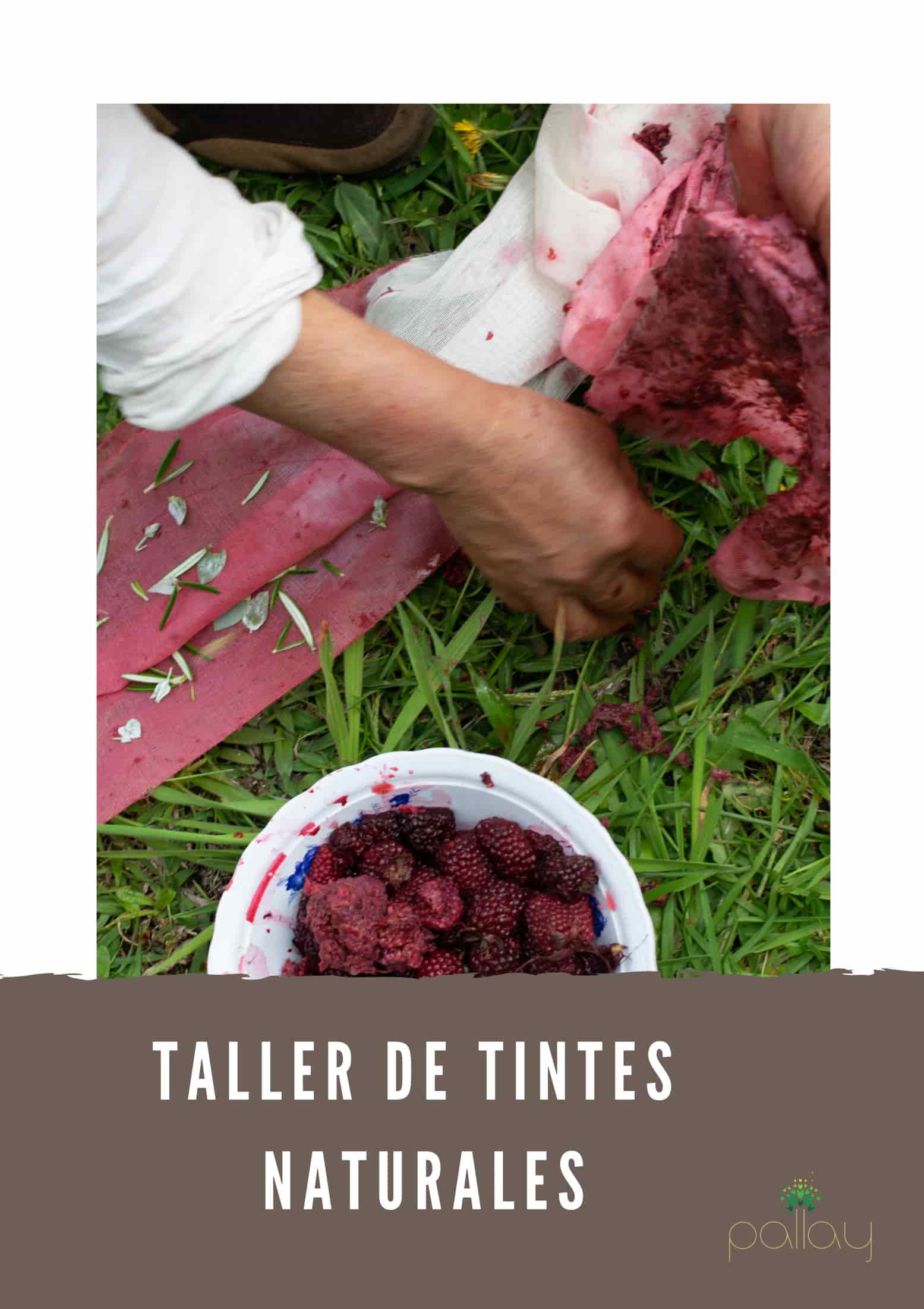 Taller de tintes naturales - miniatura 1