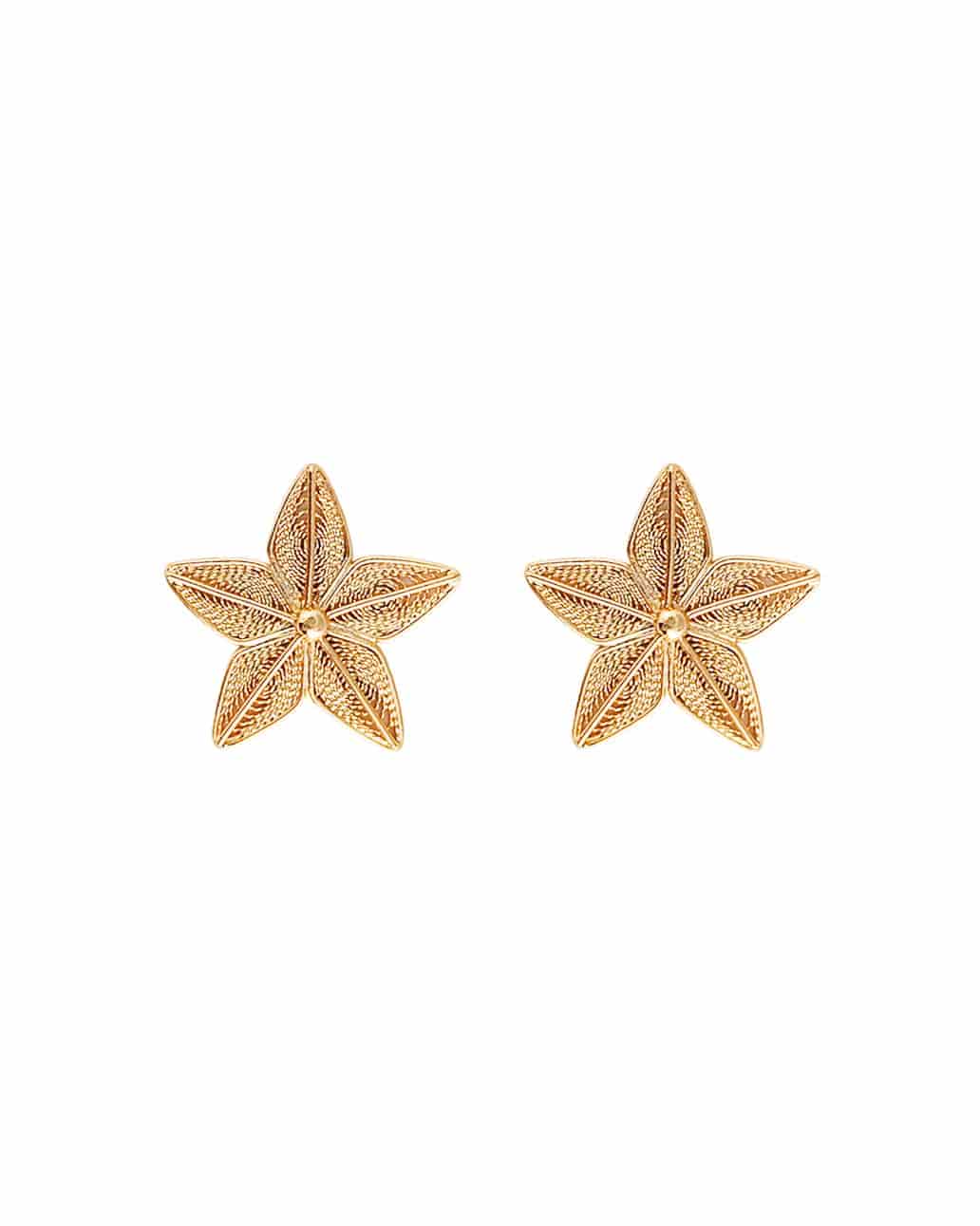 Aretes Estrella en filigrana - miniatura 1