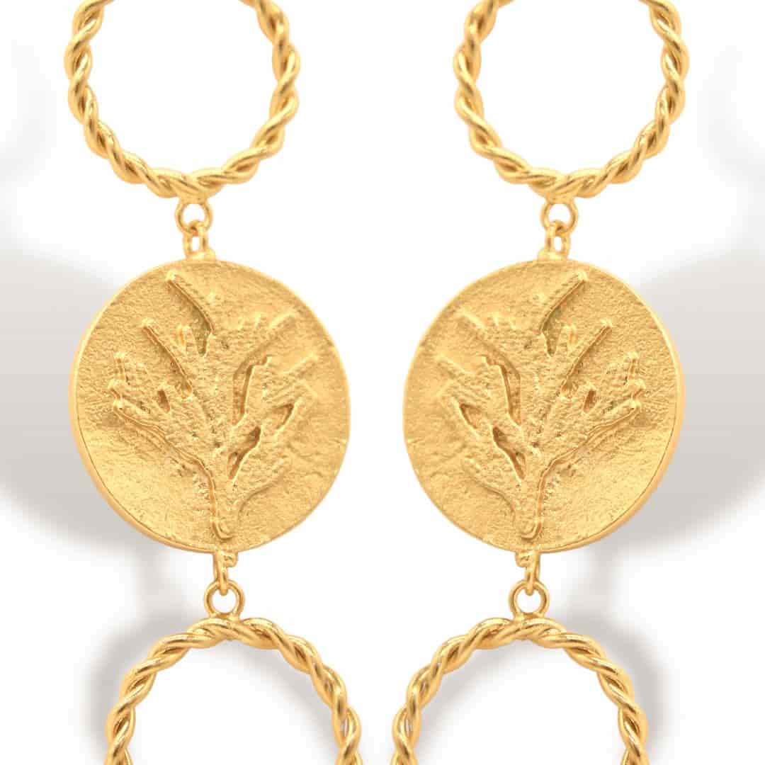 Aretes de coníferas y aros - miniatura 2
