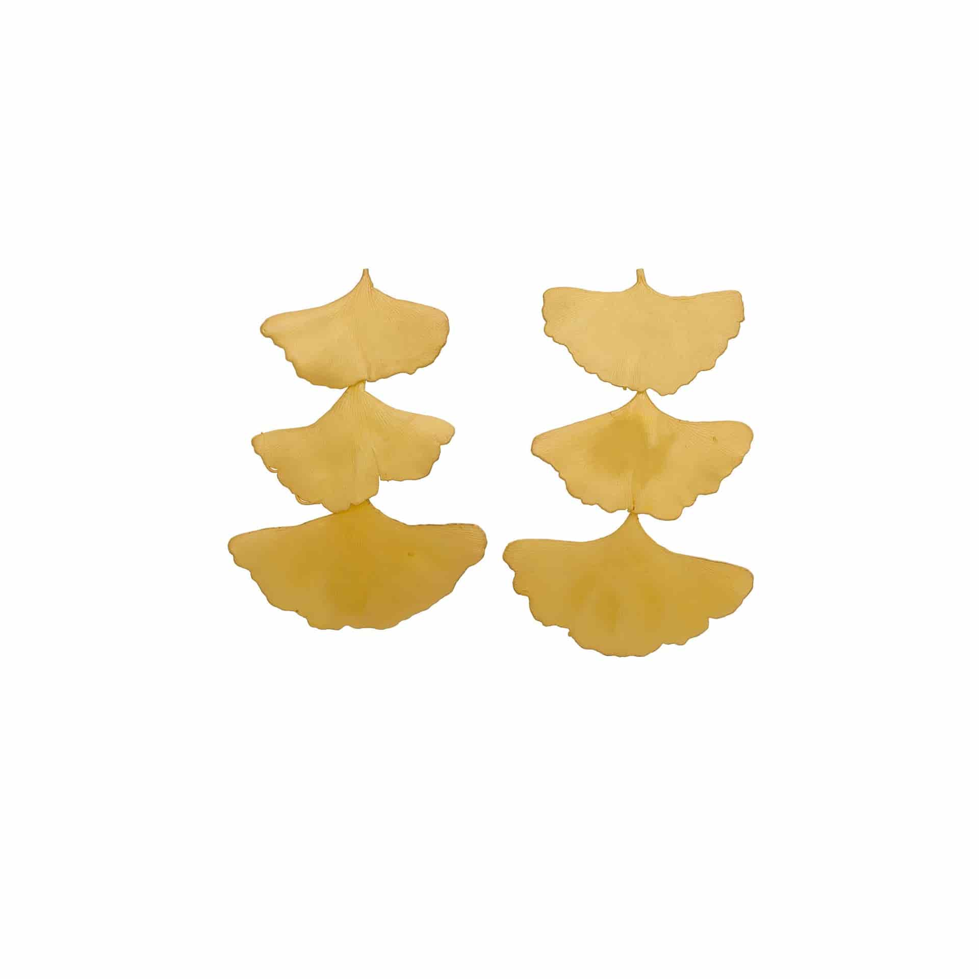 ARETES GINKGO - miniatura 1
