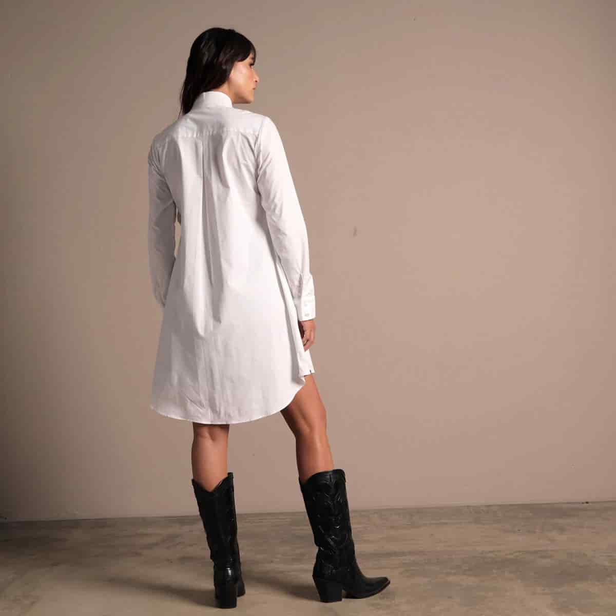 Ref. 216 - miniatura 11