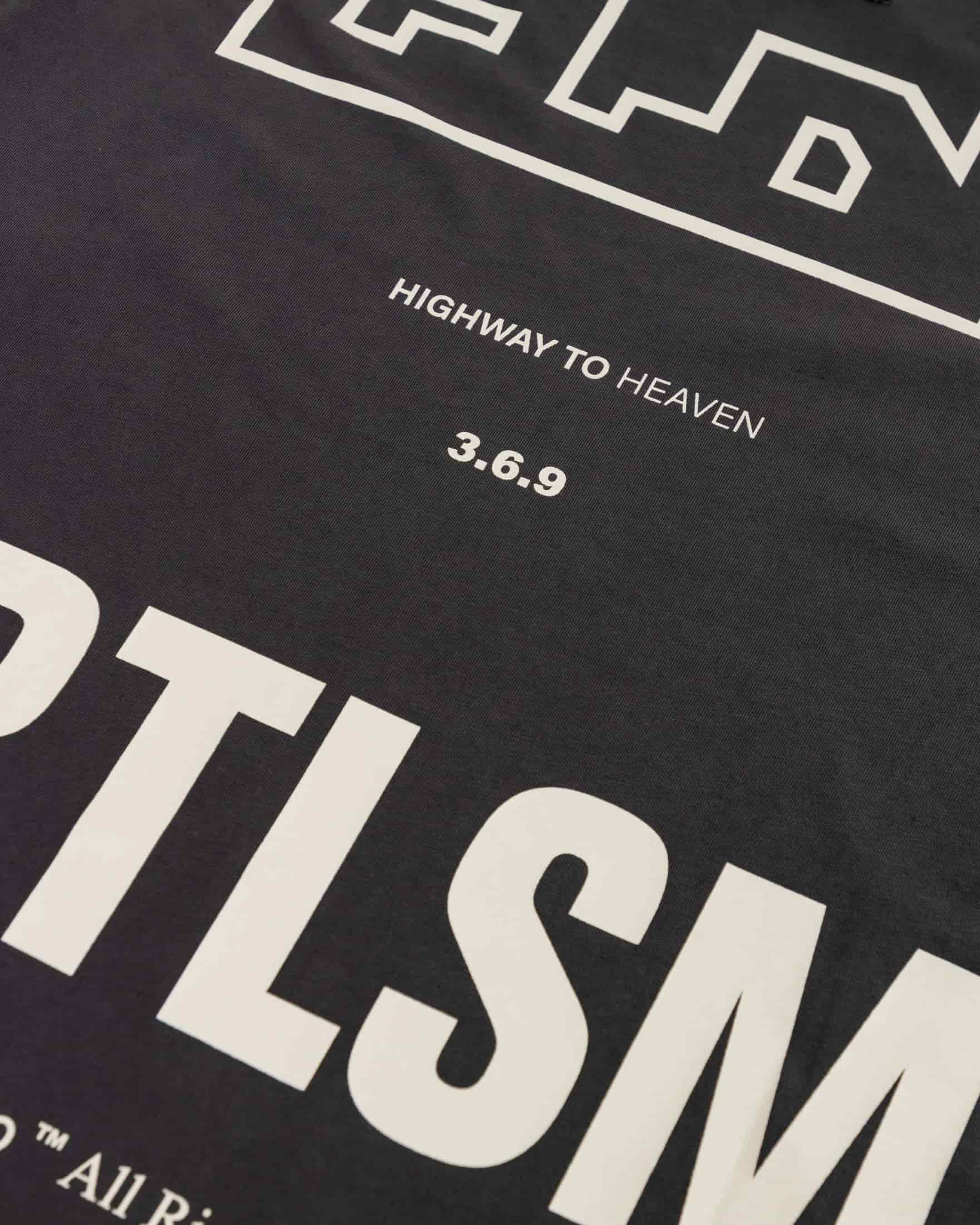 Spring Ascension Tshirt Vintage Gray - miniatura 6