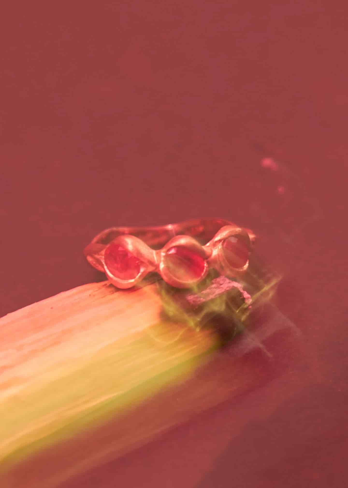 Anillo Fuego - miniatura 4