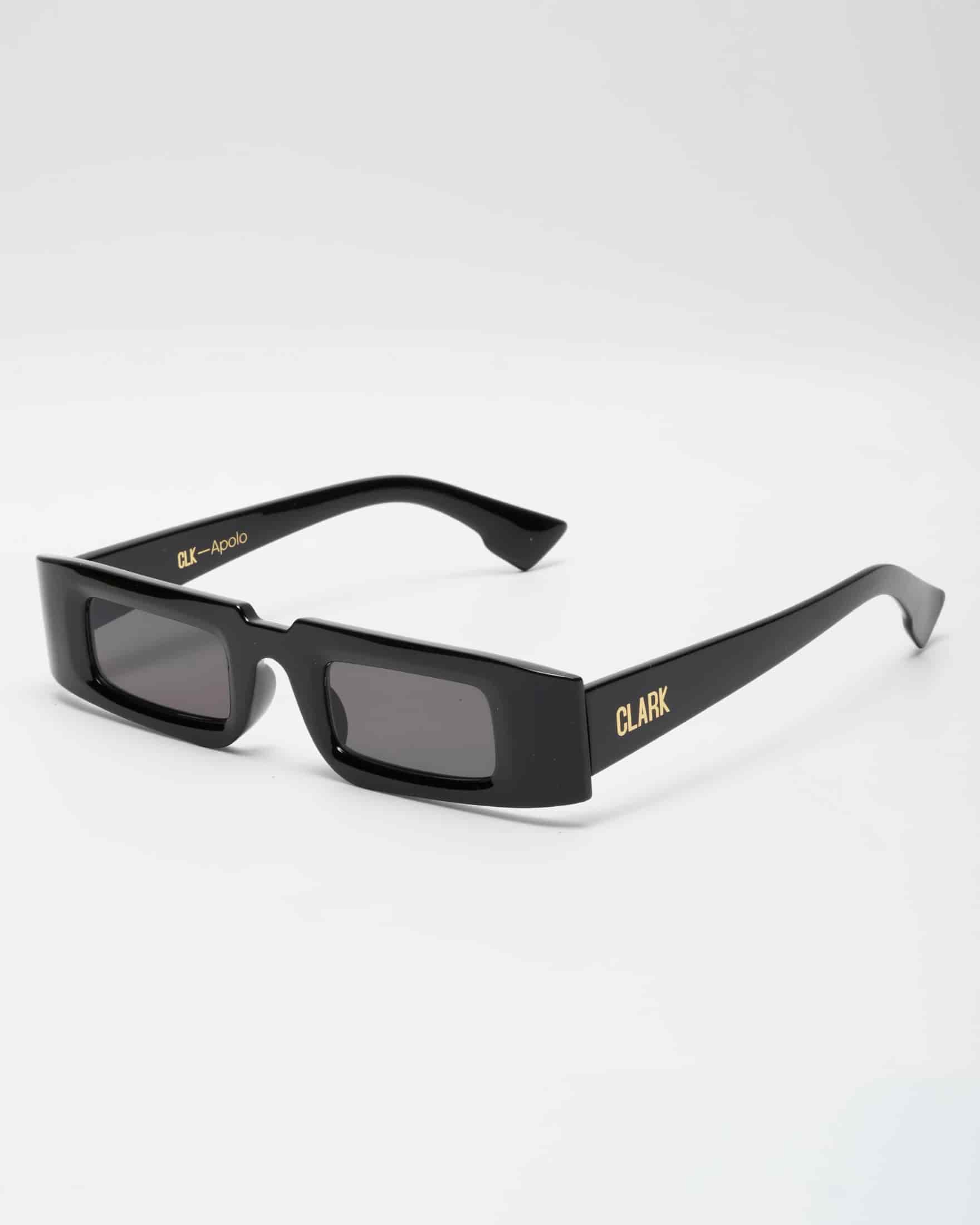 APOLO SUNGLASSES -BLACK - miniatura 5
