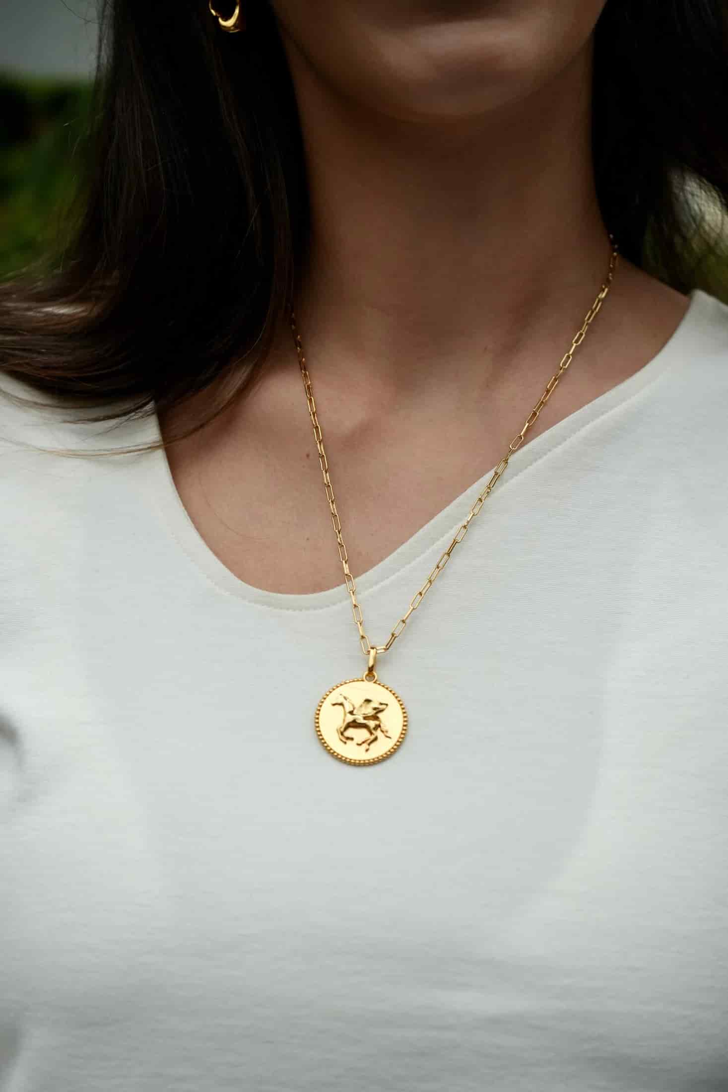 Collar Intuitive Horse - miniatura 4