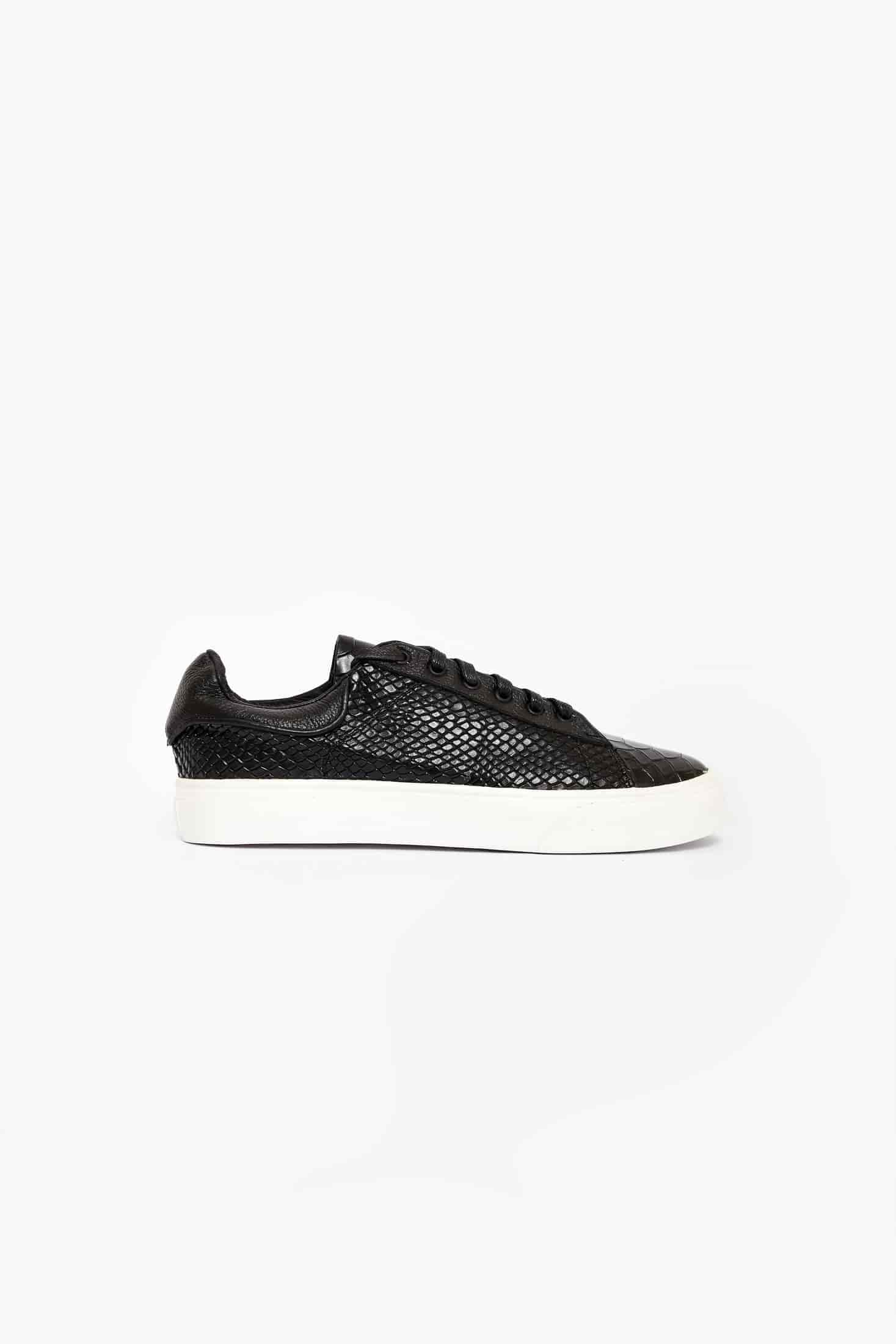 CROCODILE NEGROS - miniatura 1