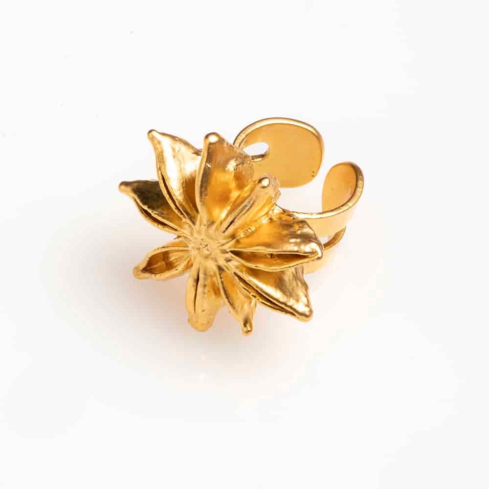 Star Anise Ring - miniatura 1