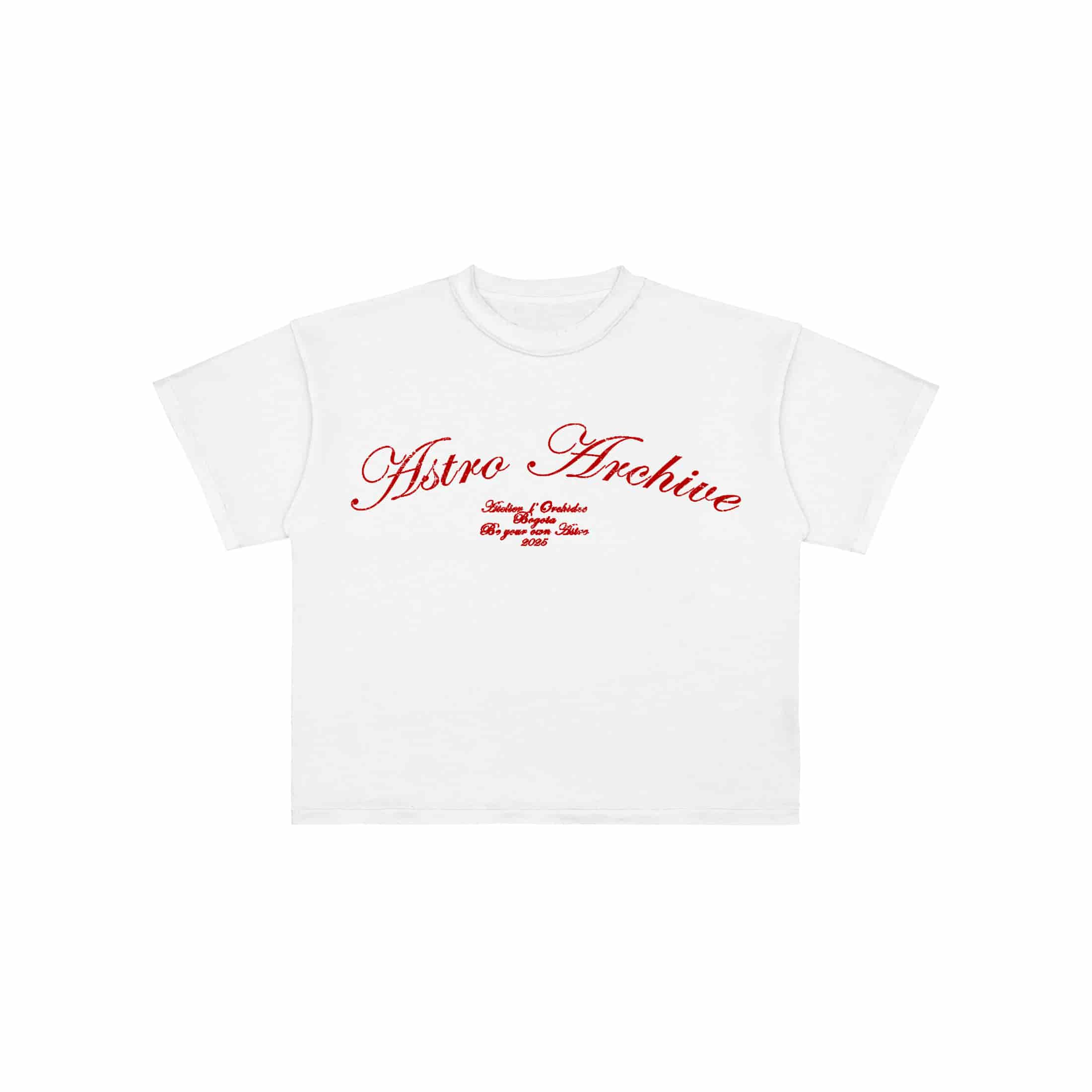 Basics V2 - Red Archive T-Shirt - miniatura 5
