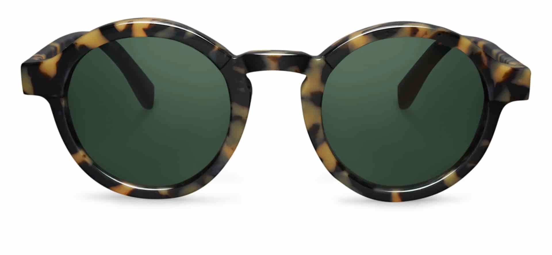HIGH CONTRAST TORTOISE DALSTON WITH CLASSICAL LENSES - miniatura 1