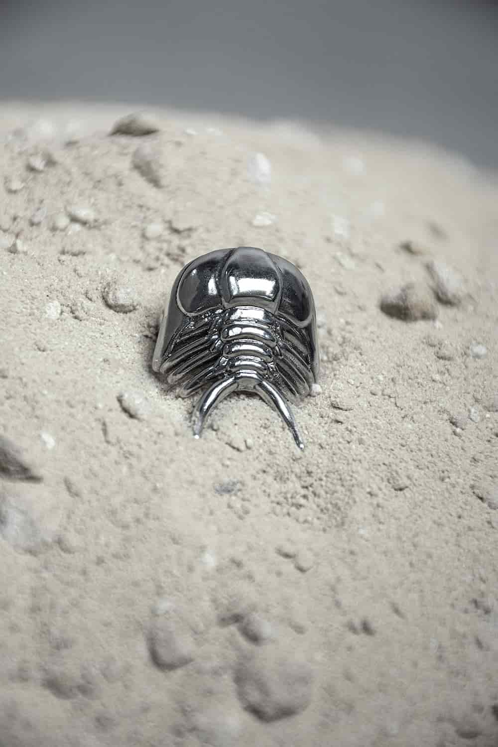 Anillo Ceraurus - miniatura 2