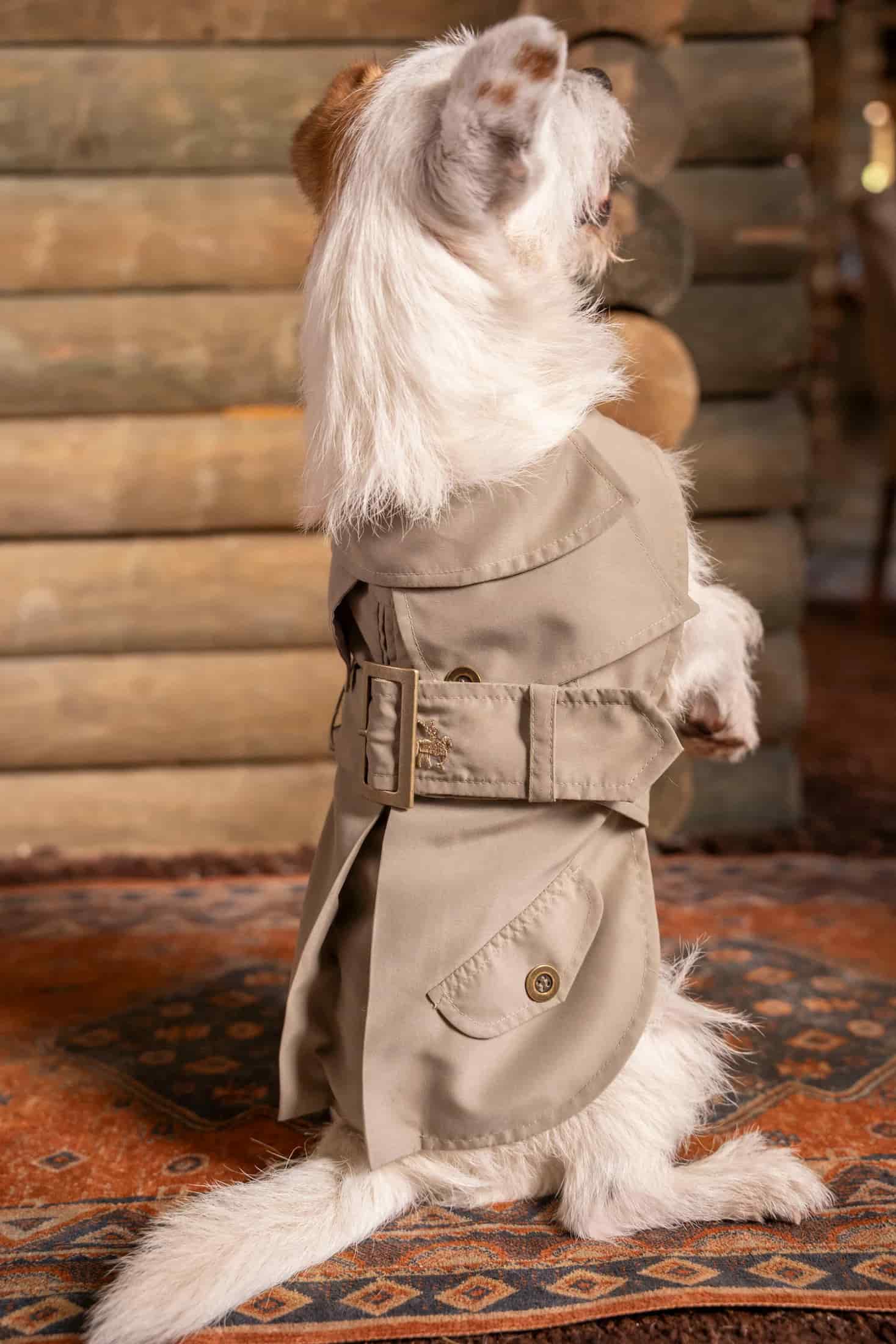 Trench Perro Beige Oscuro - miniatura 6