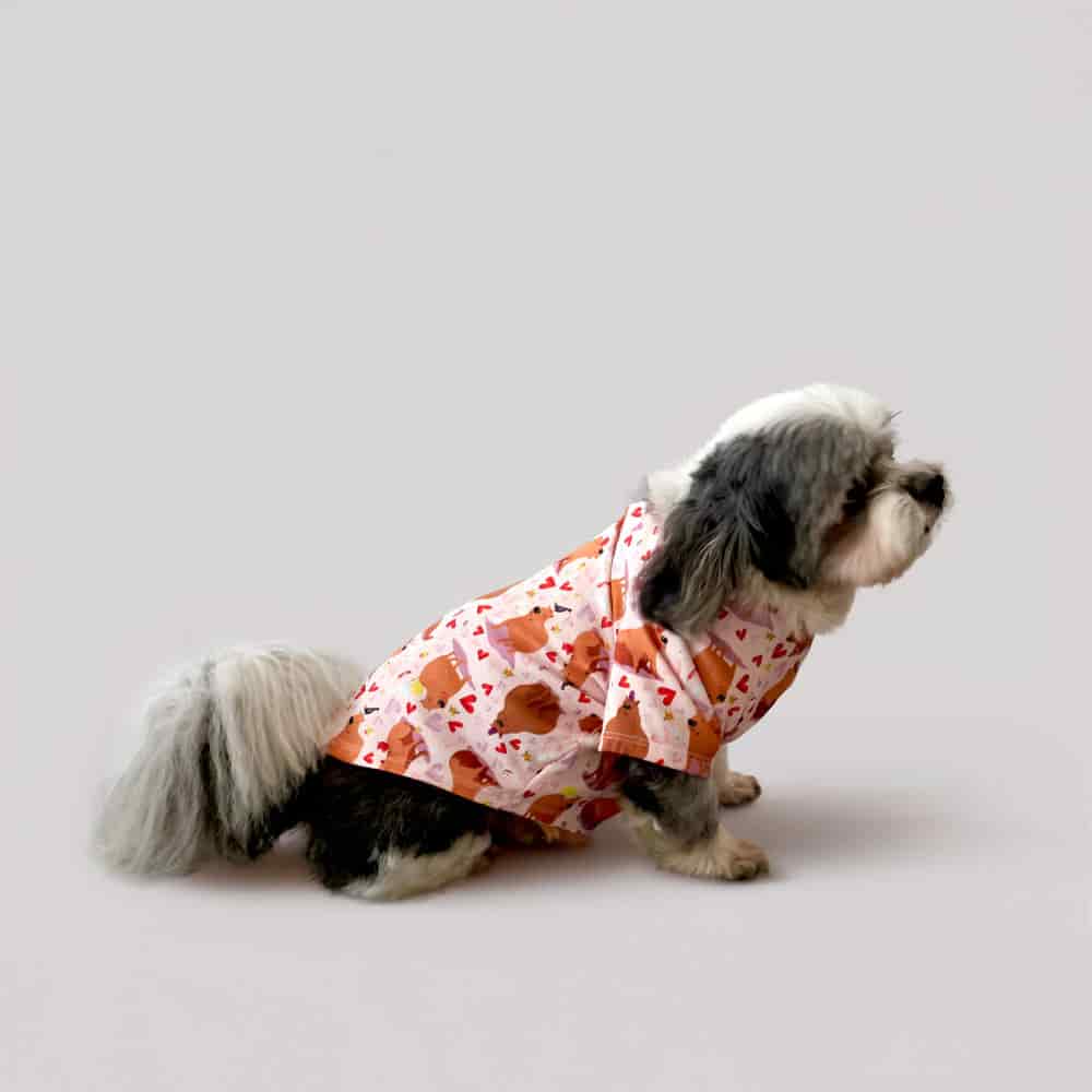 Pijama Estampada Perrito. - miniatura 3