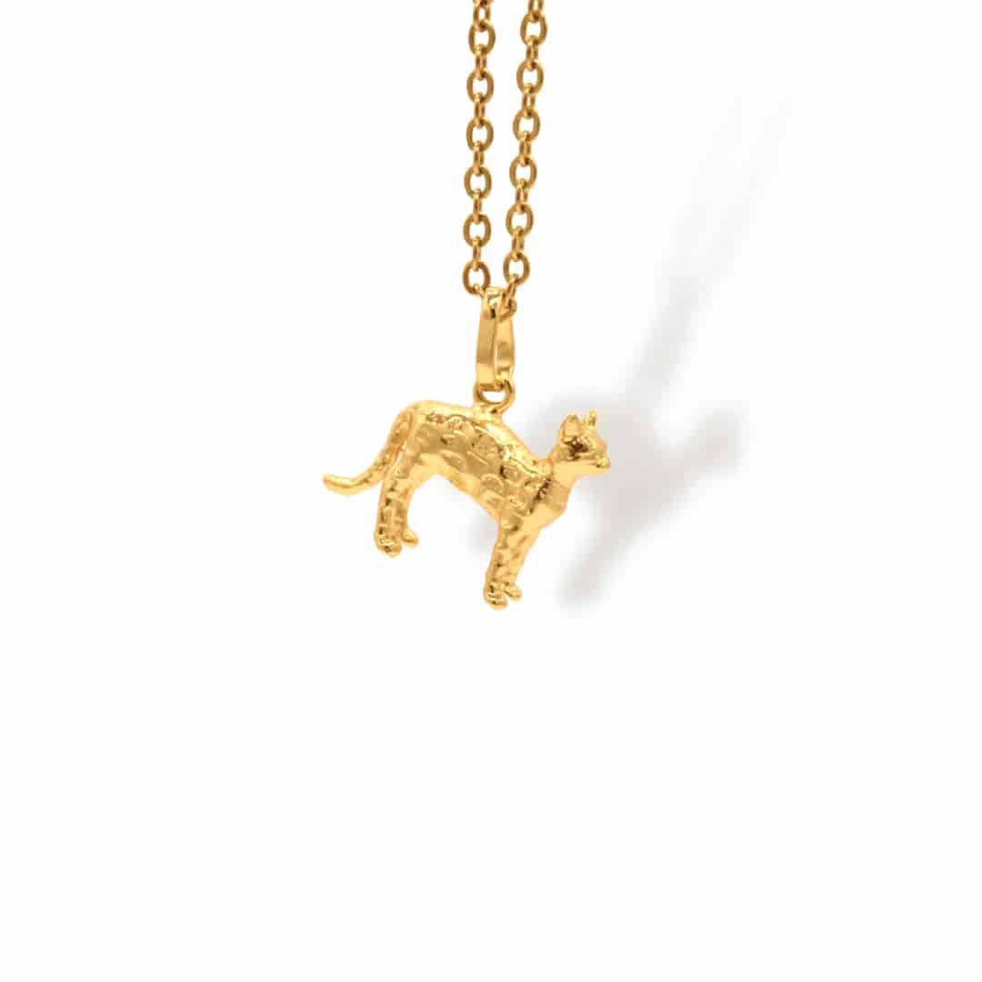 Cadena de gato con manchas cuerpo completo - miniatura 1