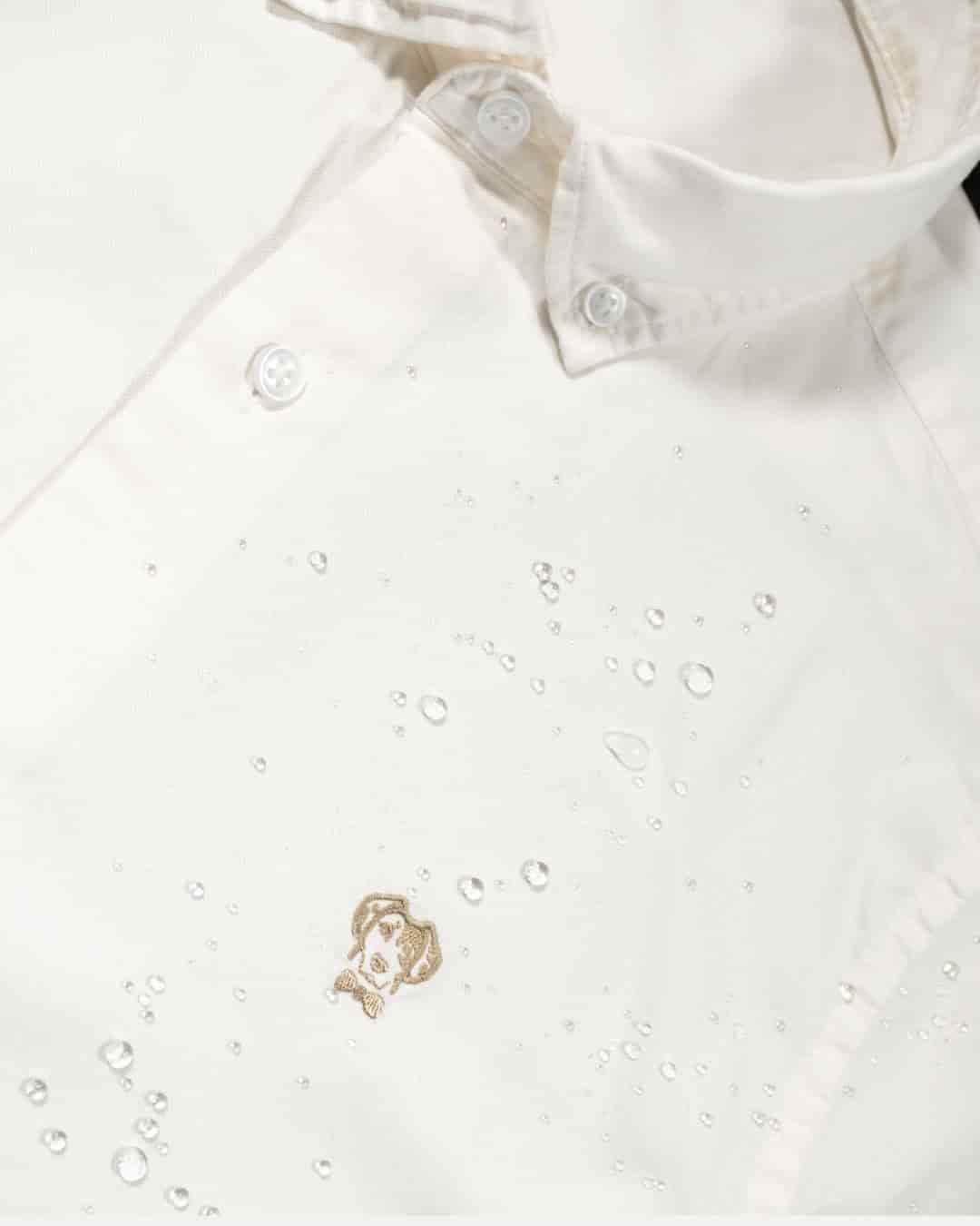 Camisa Antimanchas Oxford Ivory - Talla Regular - miniatura 4