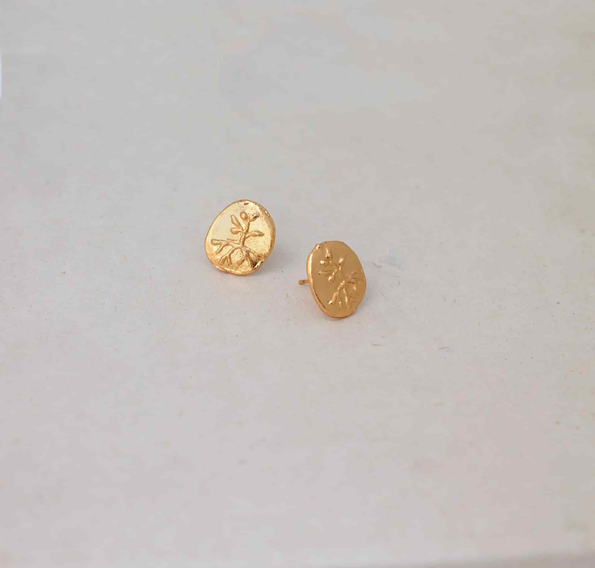 Topos Raíz y fruto - miniatura 2