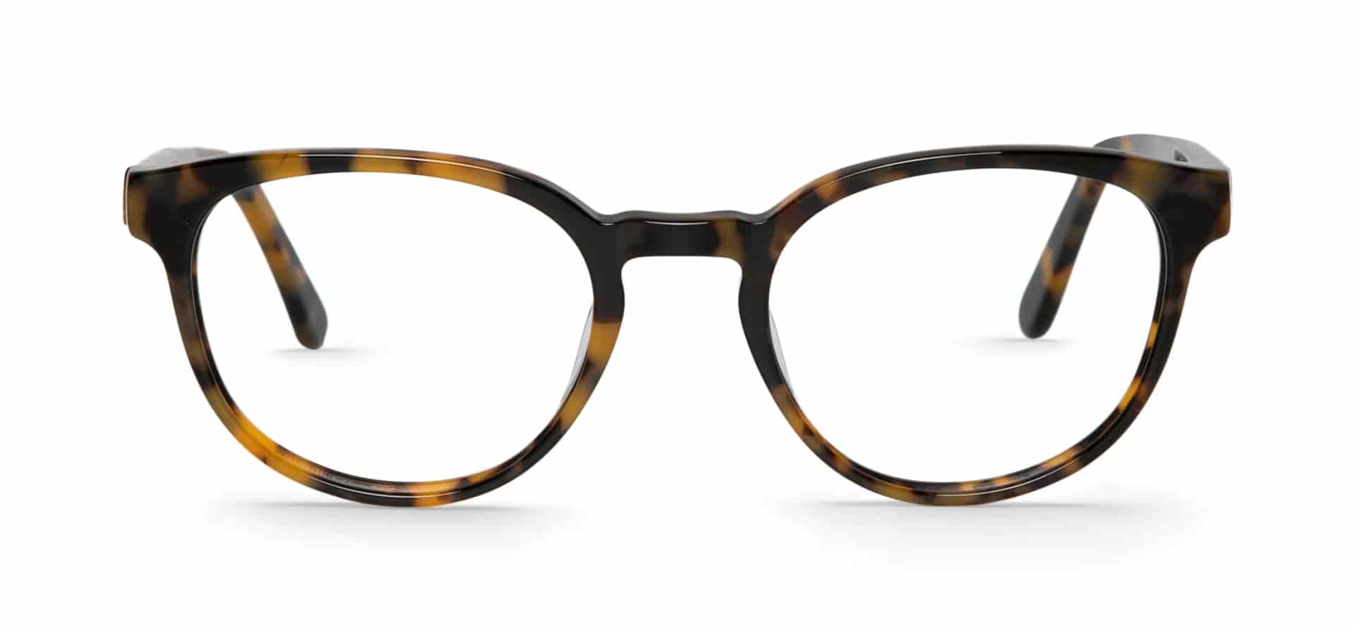 HIGH CONTRAST TORTOISE DAY - miniatura 1