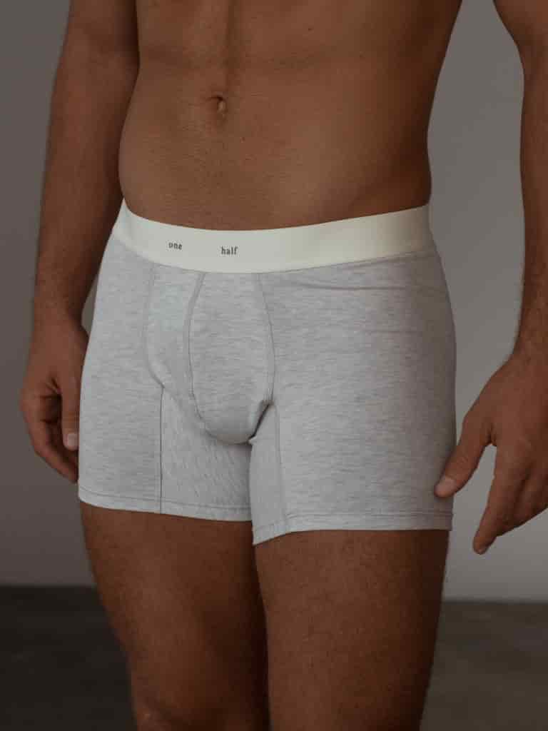 MEN CLASSIC COTTON BOXER - GRAY - miniatura 8