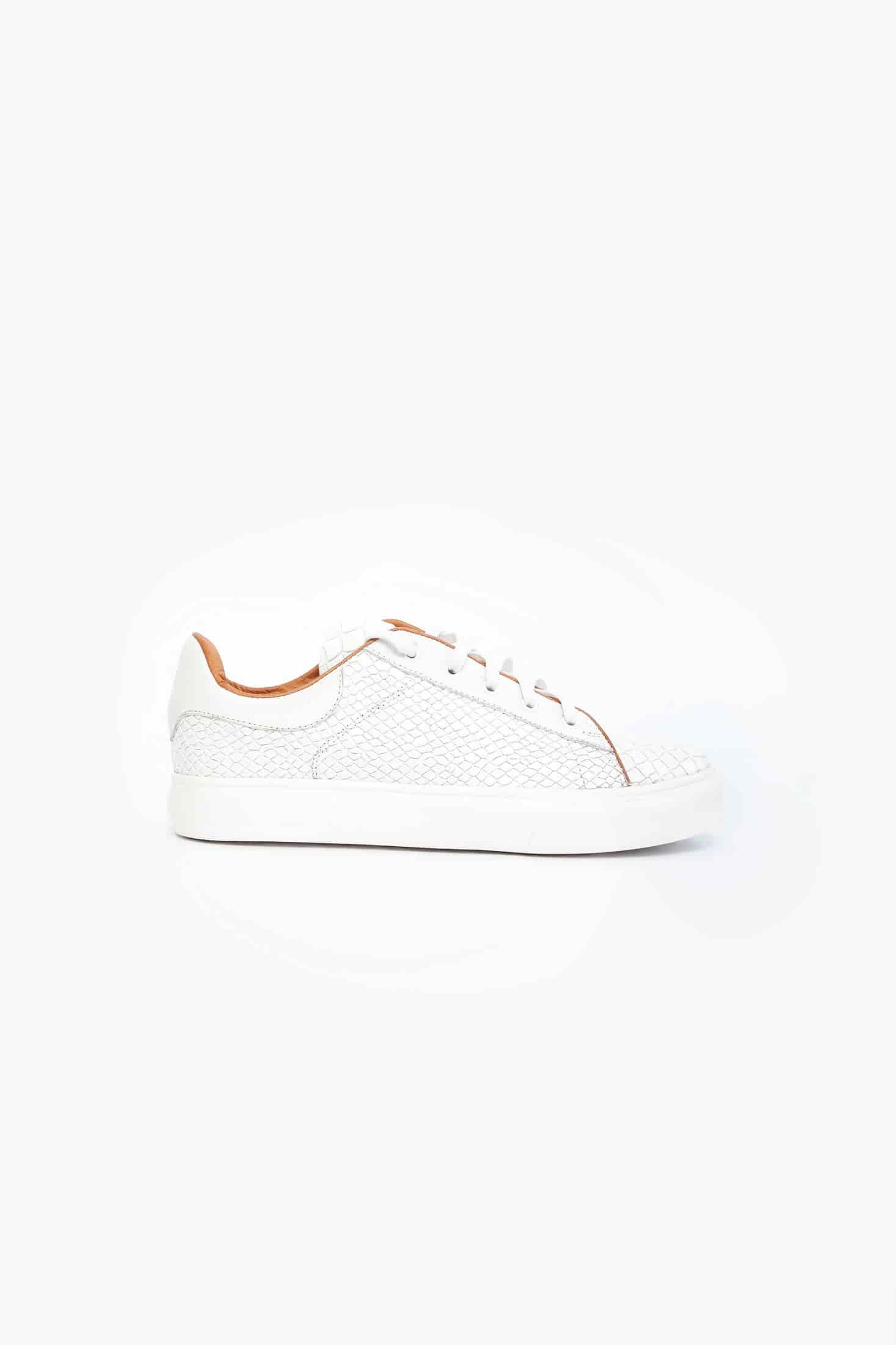 CROCODILE BLANCO - miniatura 1