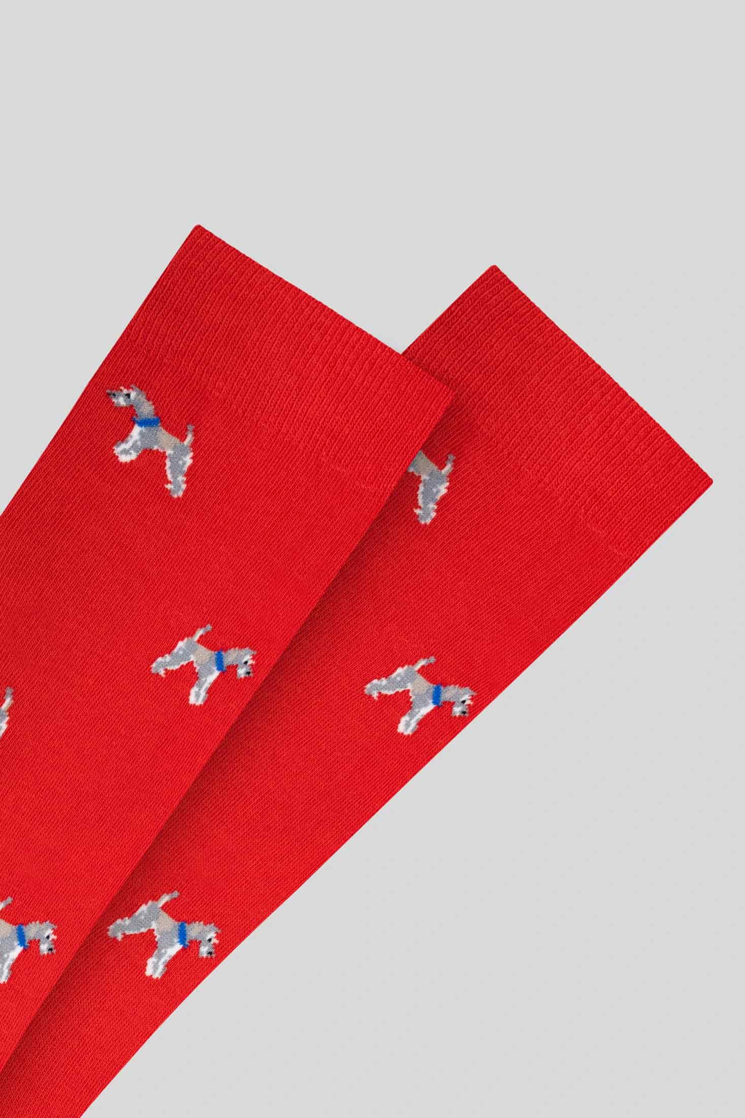 Men's dogs red sock - miniatura 1