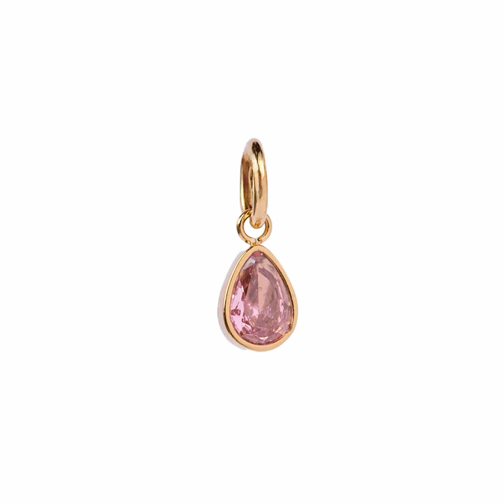 Charm Amaral - miniatura 1
