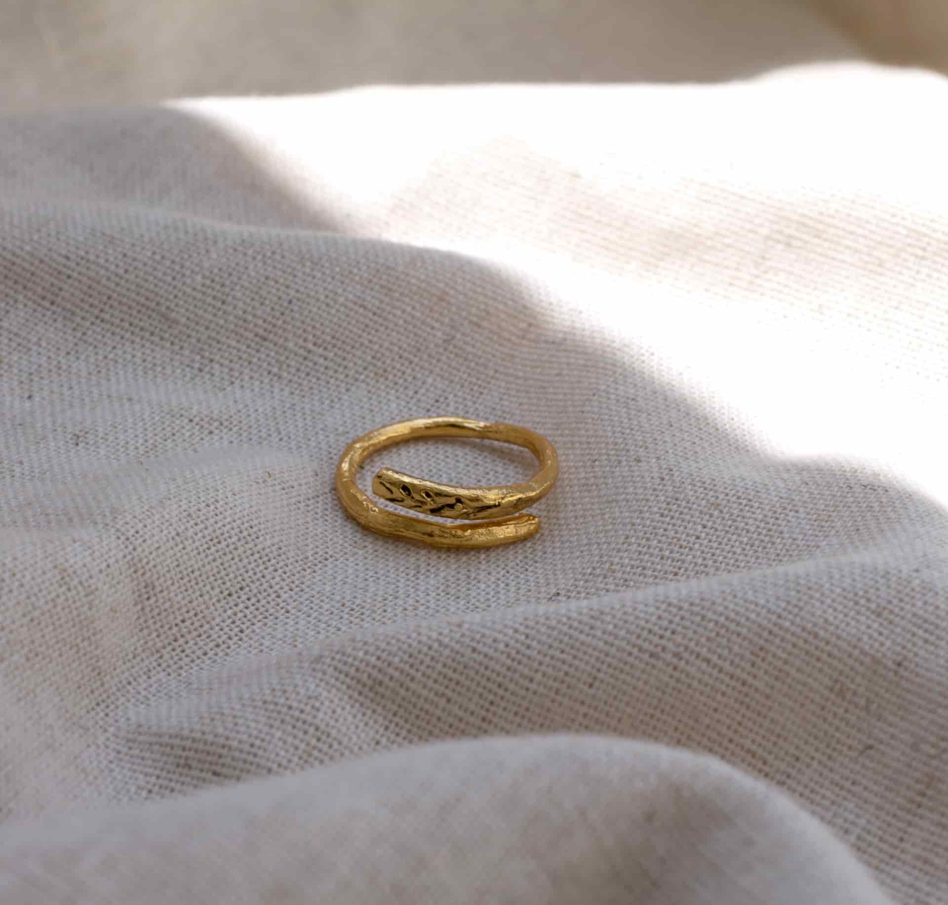 Anillo ramita para personalizar - miniatura 1