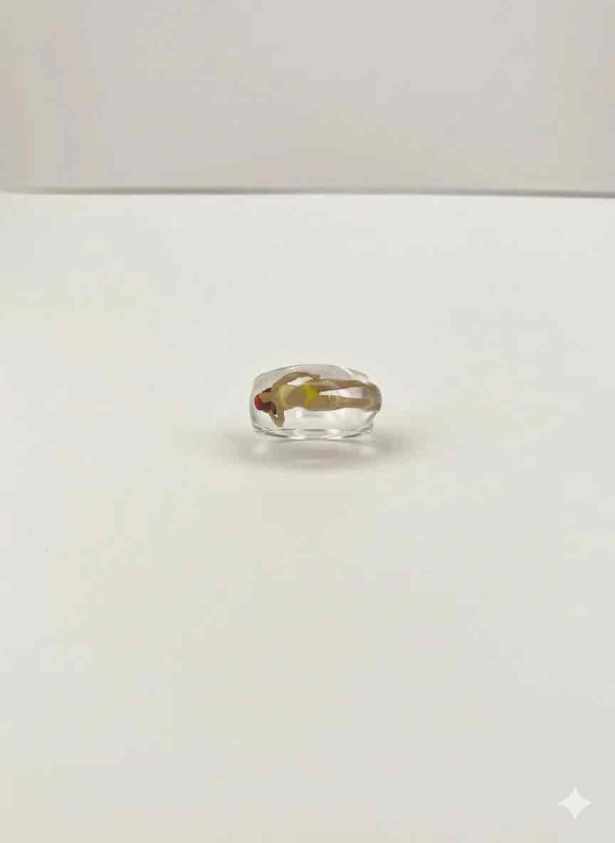 BATHER RING - miniatura 6
