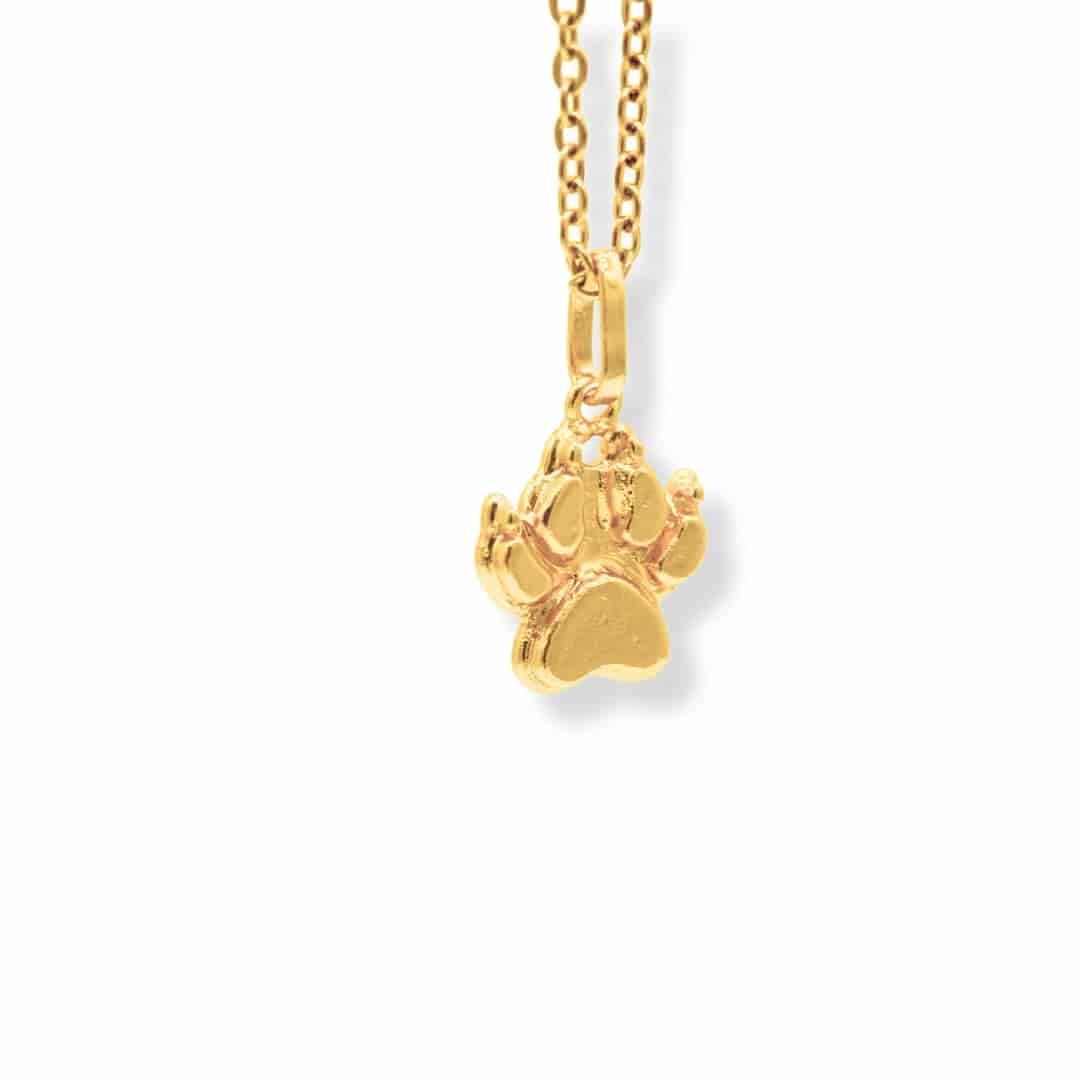 Cadena de huella de gato - miniatura 1