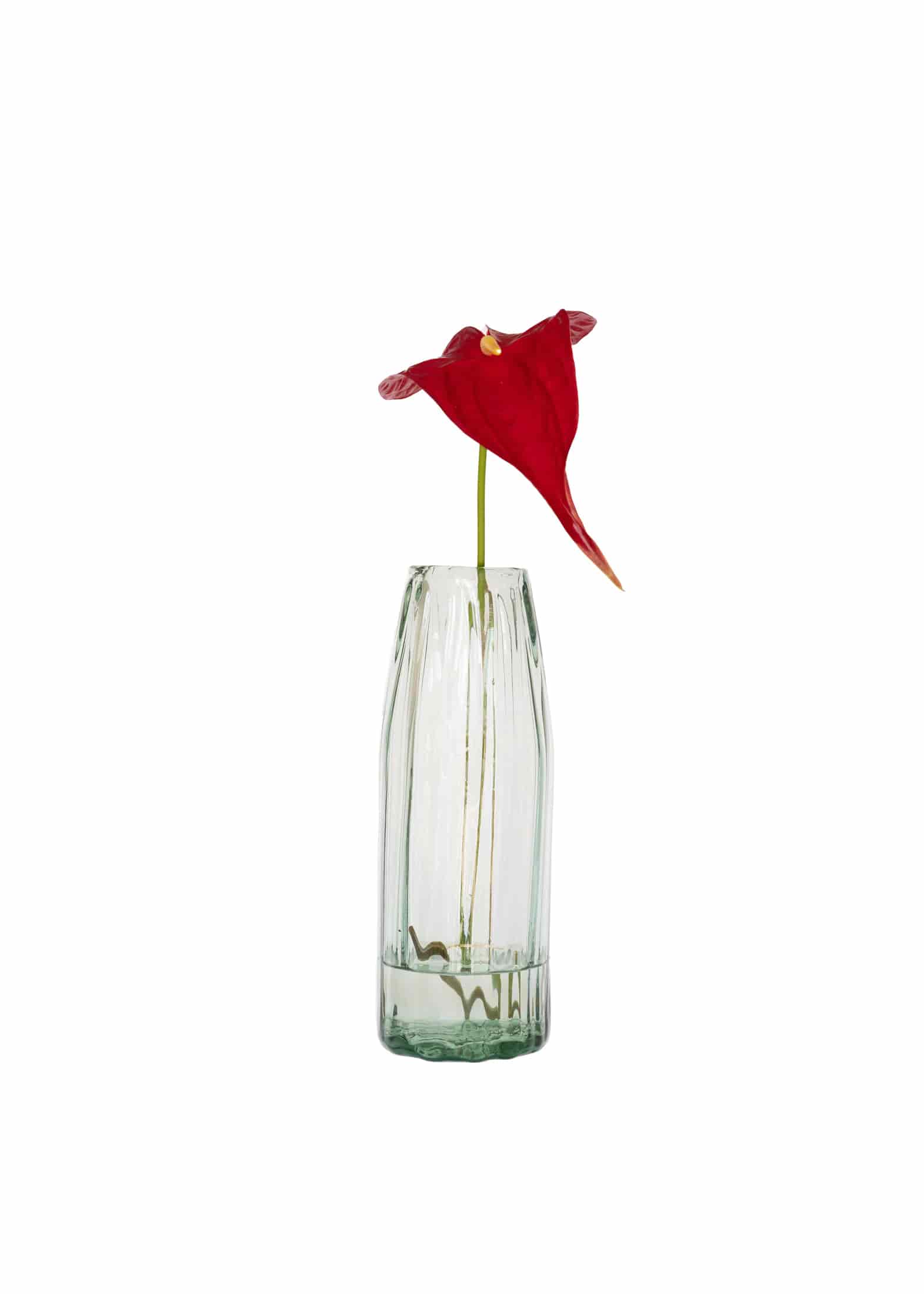 NATURAL ORIGIN VASE - miniatura 1
