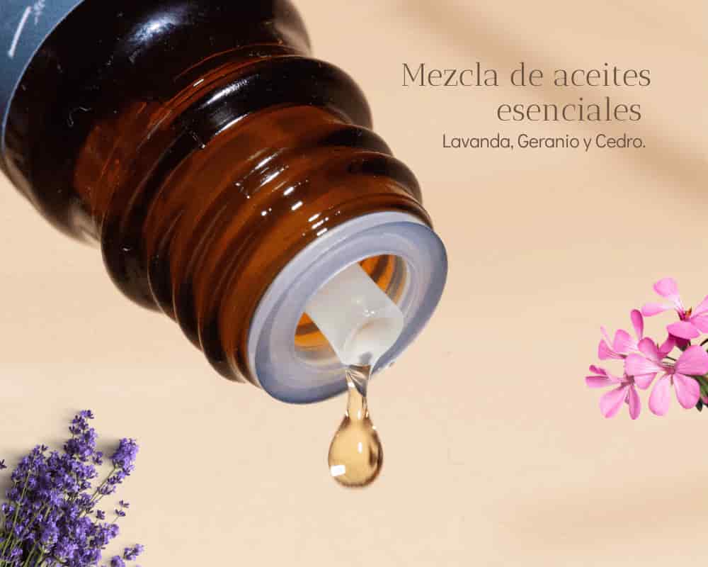 Kit Descansa + Regalo - miniatura 2