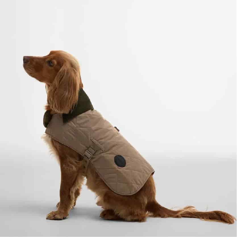 Quilted Dog Coat - miniatura 2