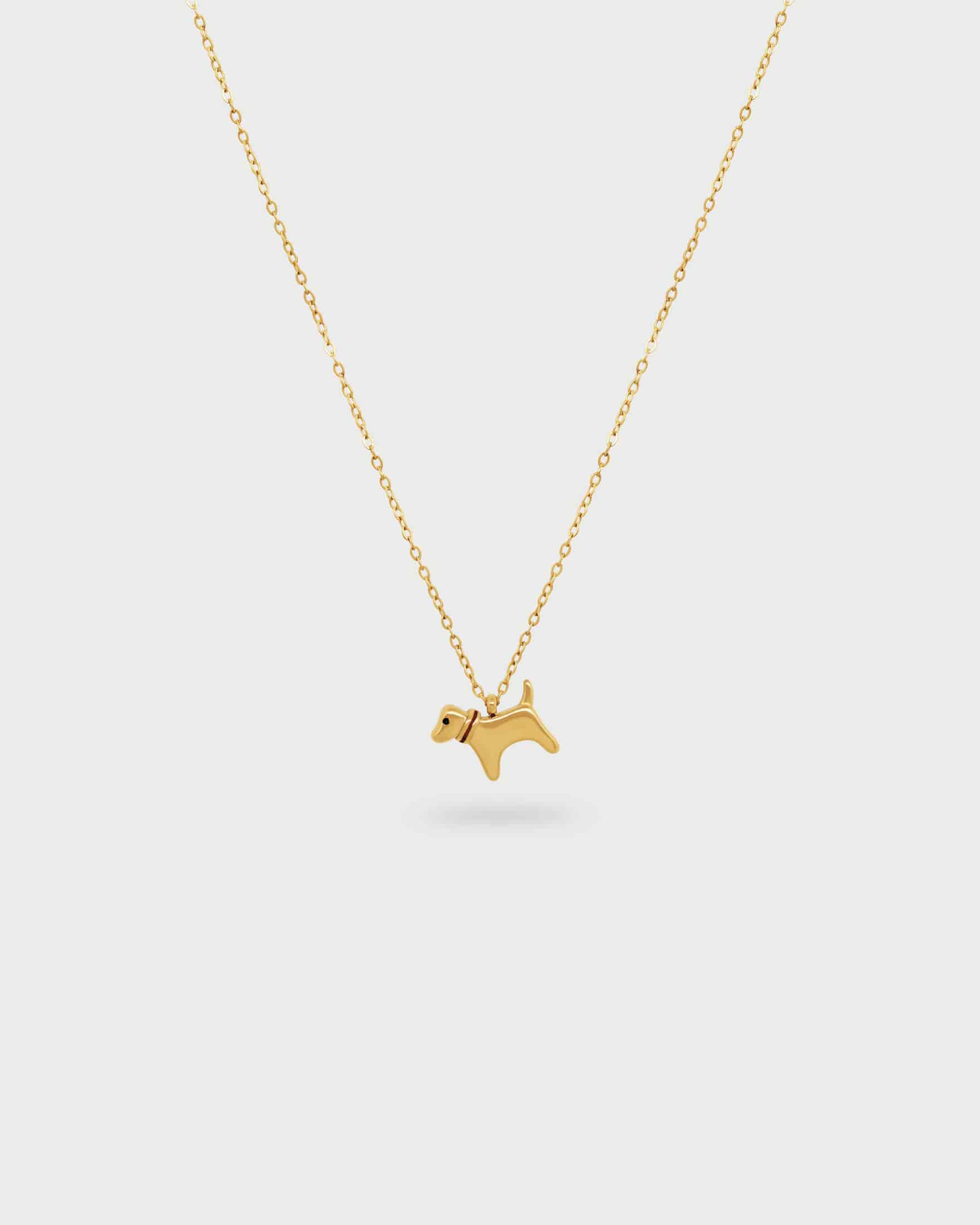 Collar Perro - miniatura 1