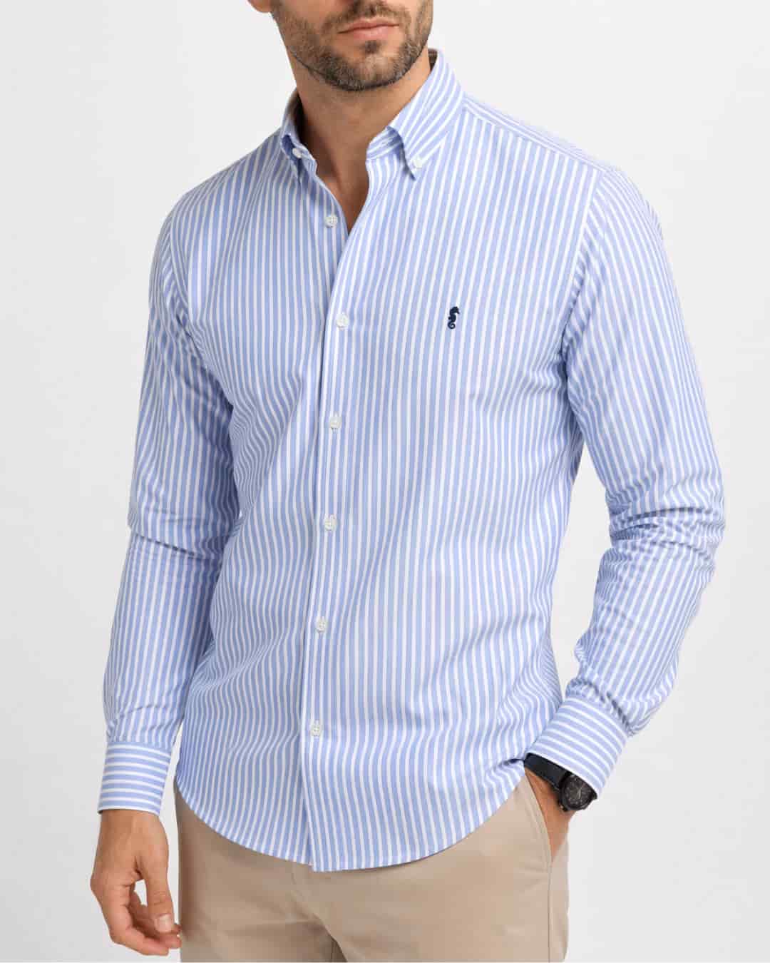 Camisa 100% Algodón Manga Larga Azul Claro Rayas Blancas - miniatura 3