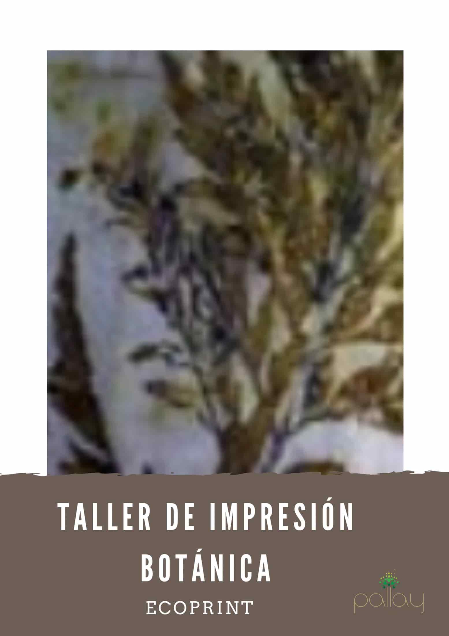 Taller de impresión Botánica textil - miniatura 2