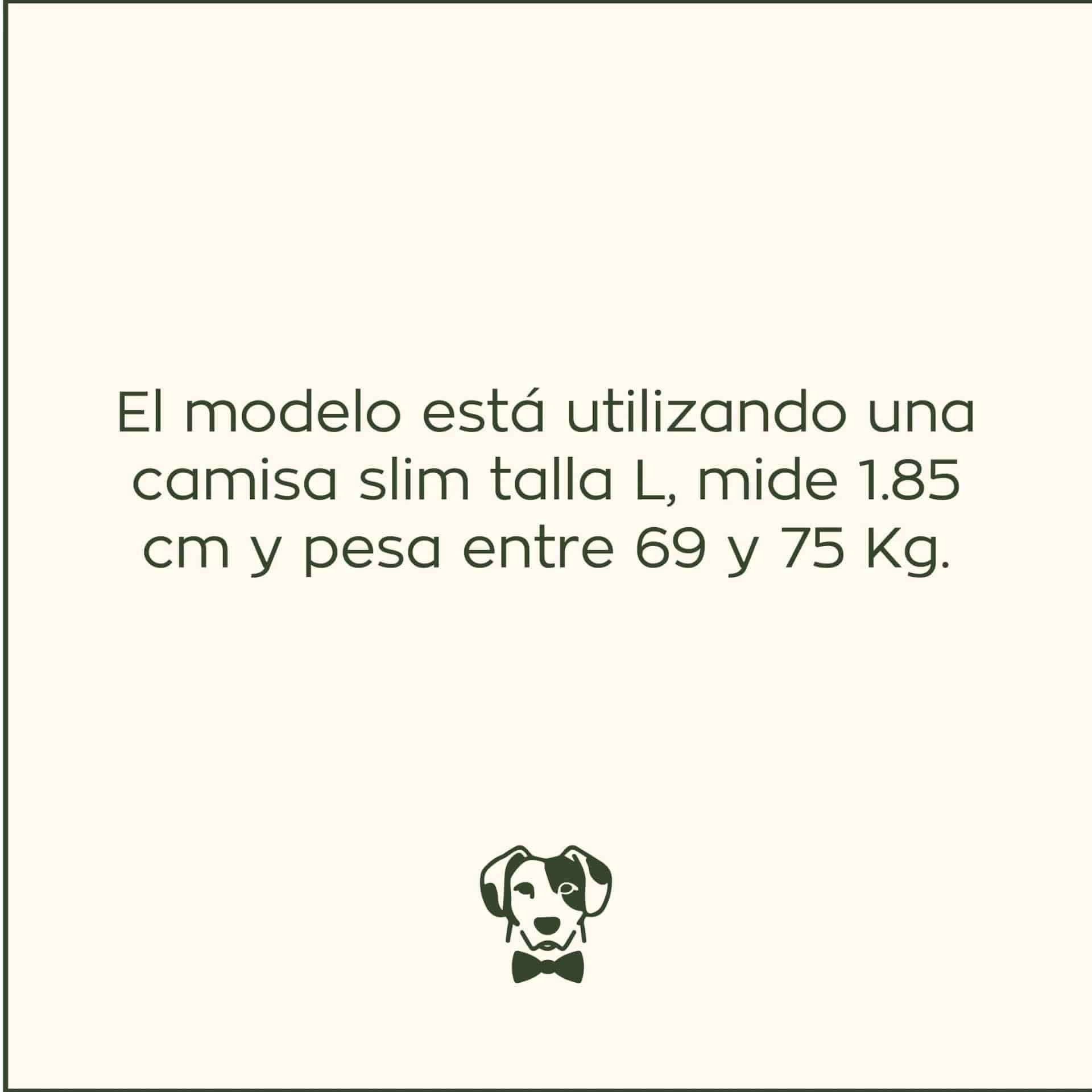 Camisa Antimanchas Oxford Gris - Talla Slim - miniatura 6