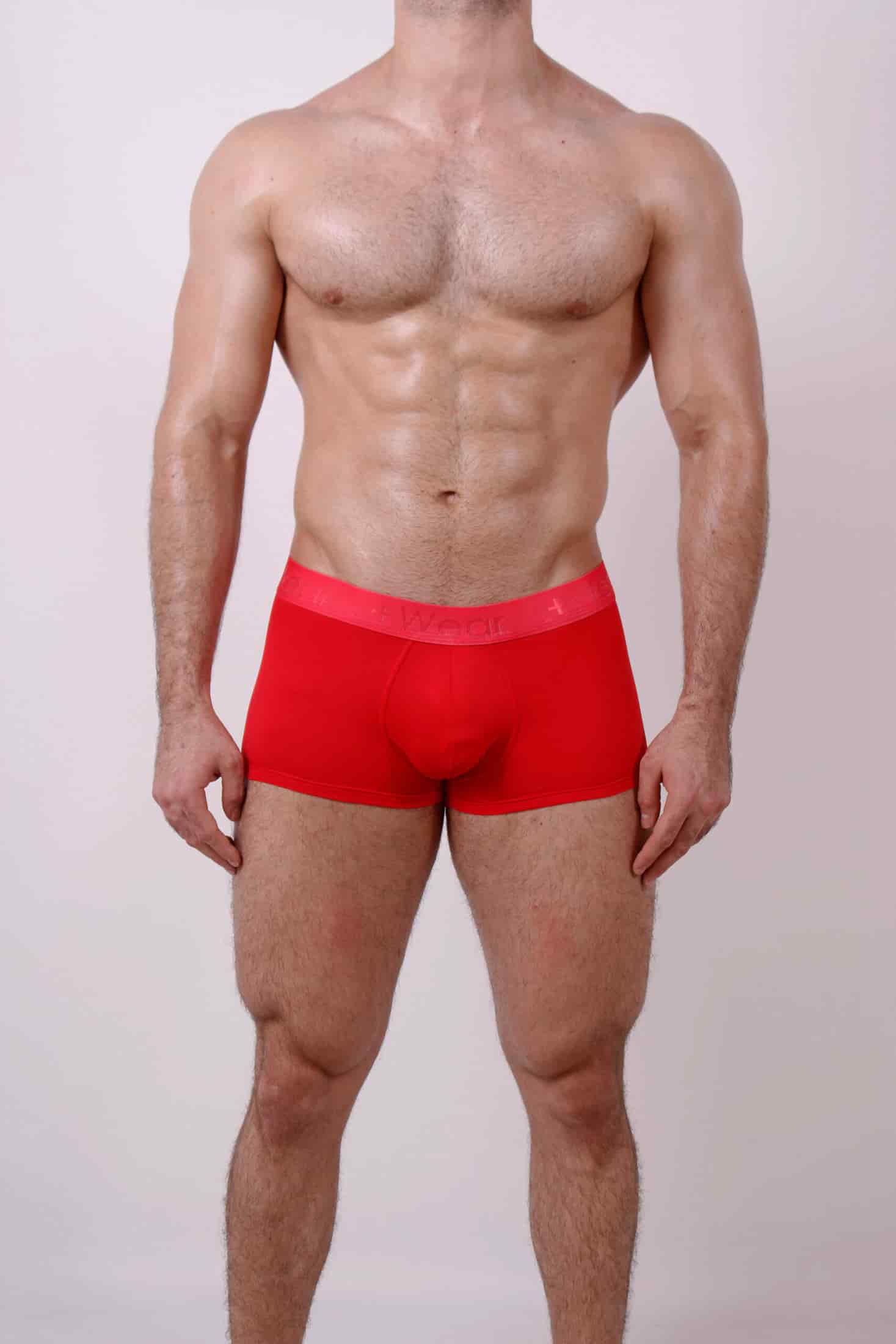 Boxer Rojo - miniatura 5