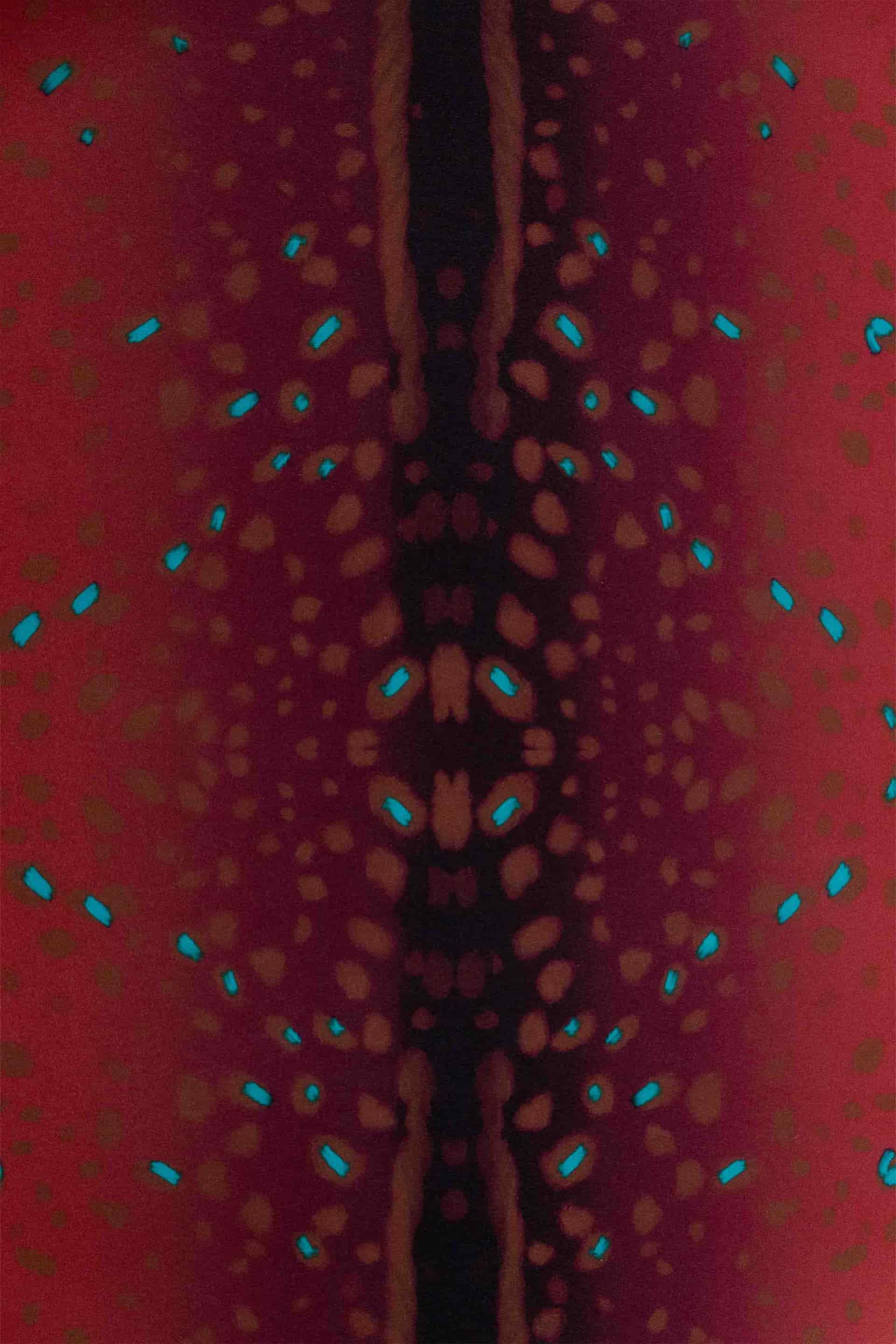 Pañoleta Bambi Rojo - miniatura 3