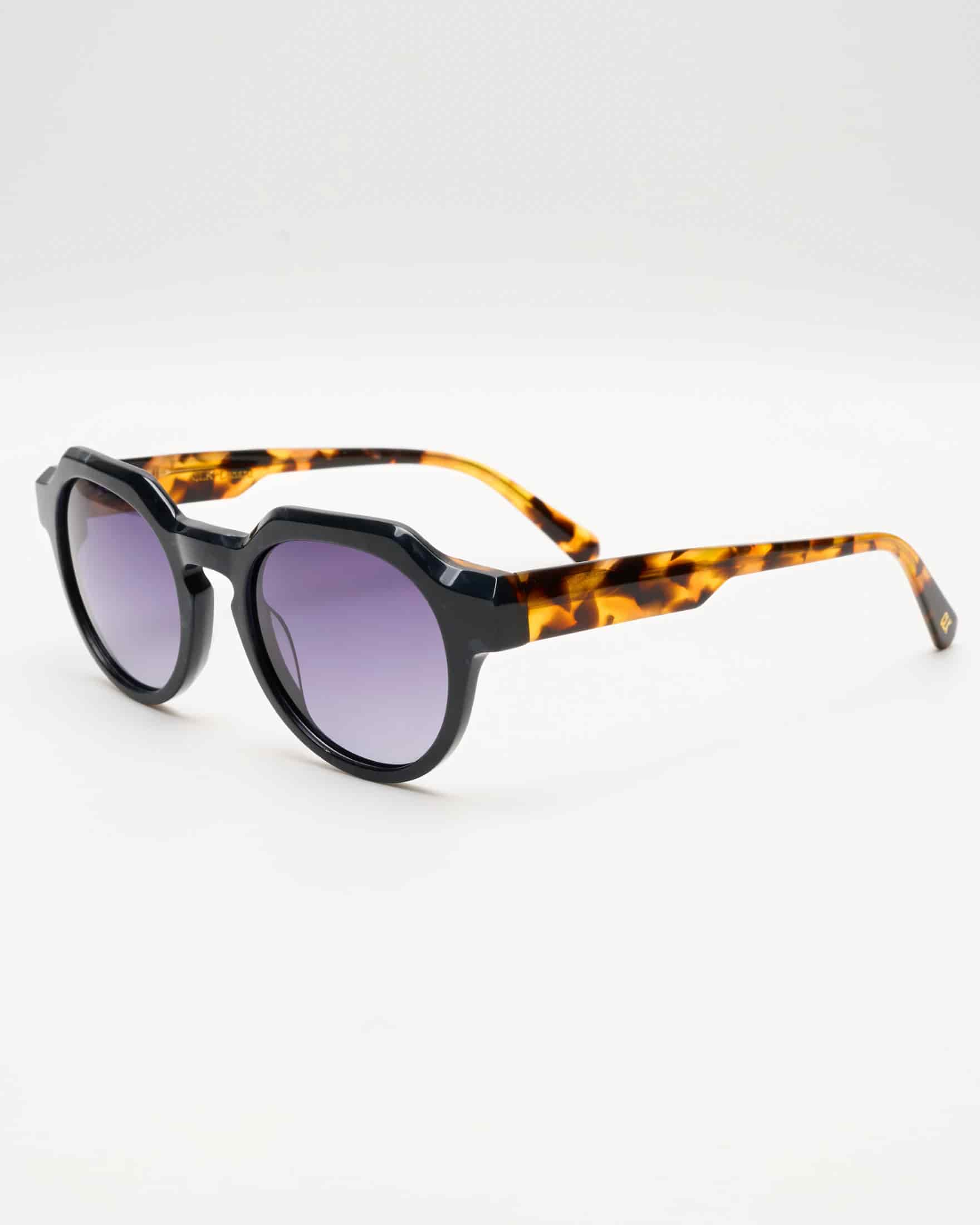LENARD - BLACK TORTOISE / SMOKE - miniatura 1