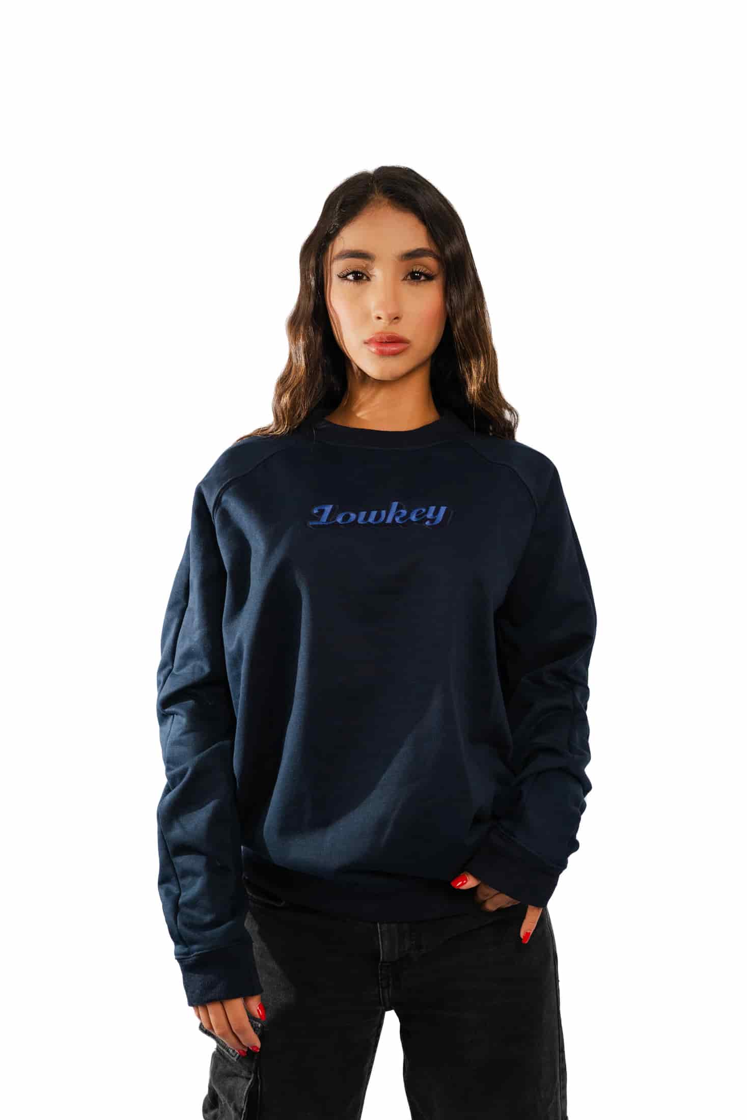 CREWNECK AZUL - PLAIN SOCIETY - miniatura 2