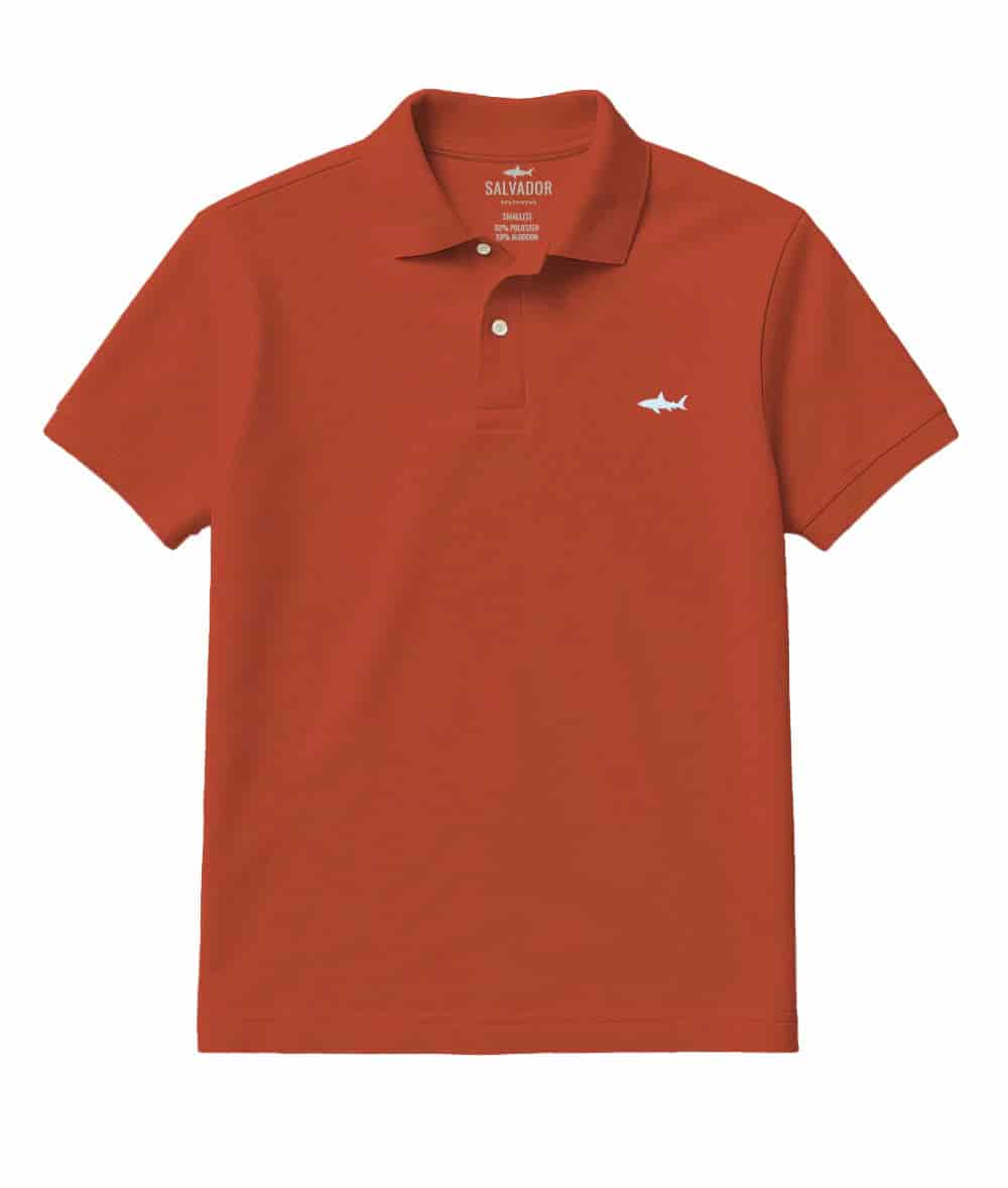 CAMISETA POLO TERRACOTA - miniatura 1