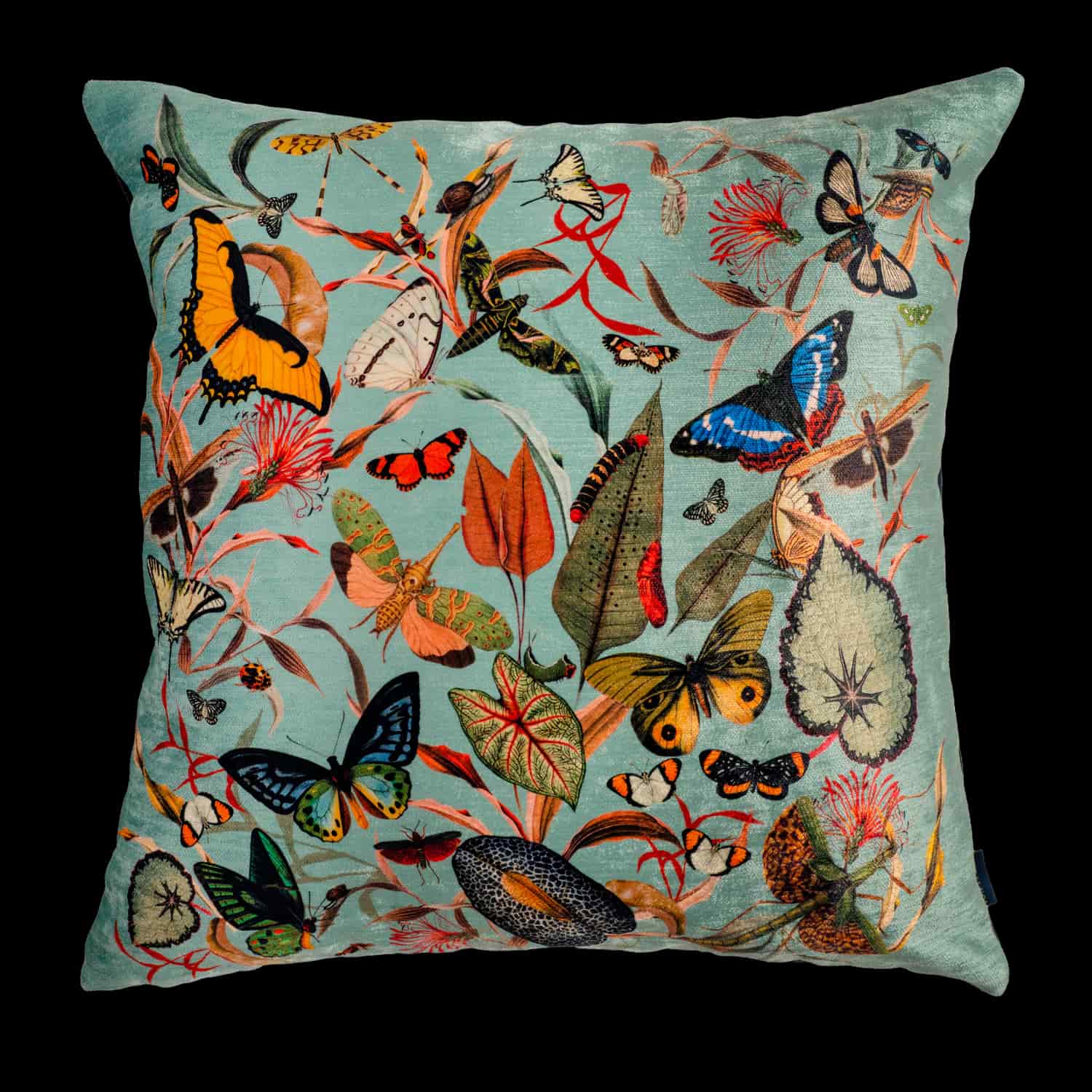 Cojin - Butterfly Aqua - miniatura 1