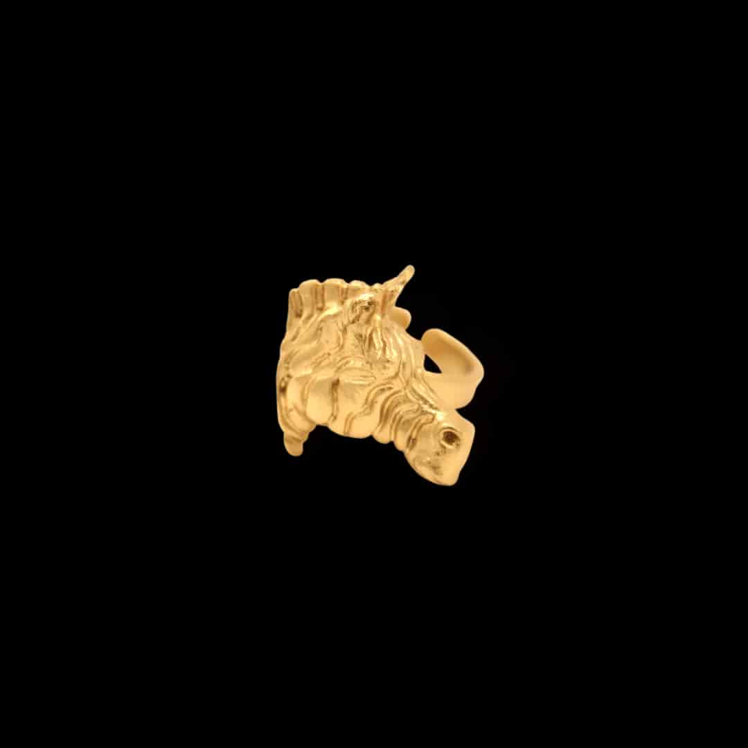 Anillo con cabeza de cebra - miniatura 1